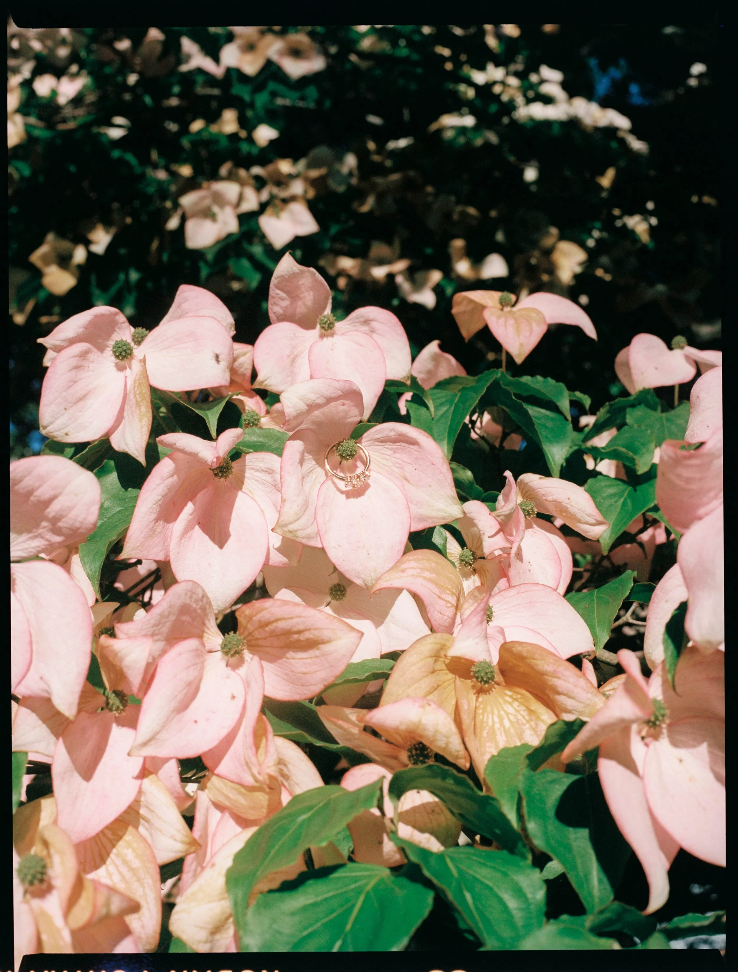 J&A_FILM__ENG-0014.jpg
