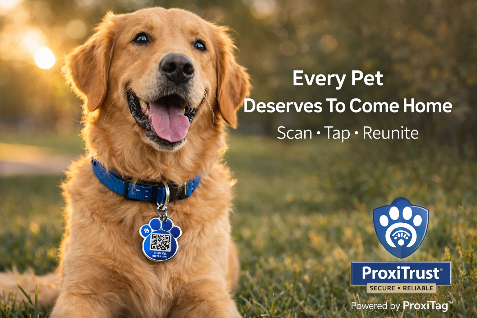 ProxiTag™ Smart Pet ID Tag (QR Scan}