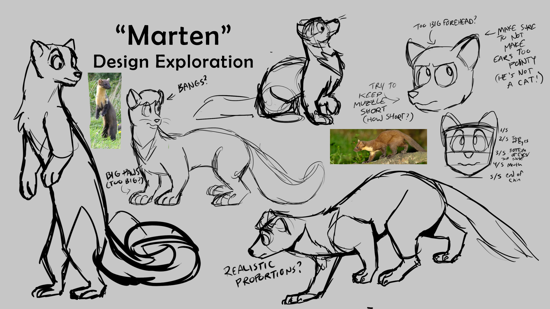 Design exploration for a pine marten. I tried experimenting with more realistic and more cartoonish proportions.