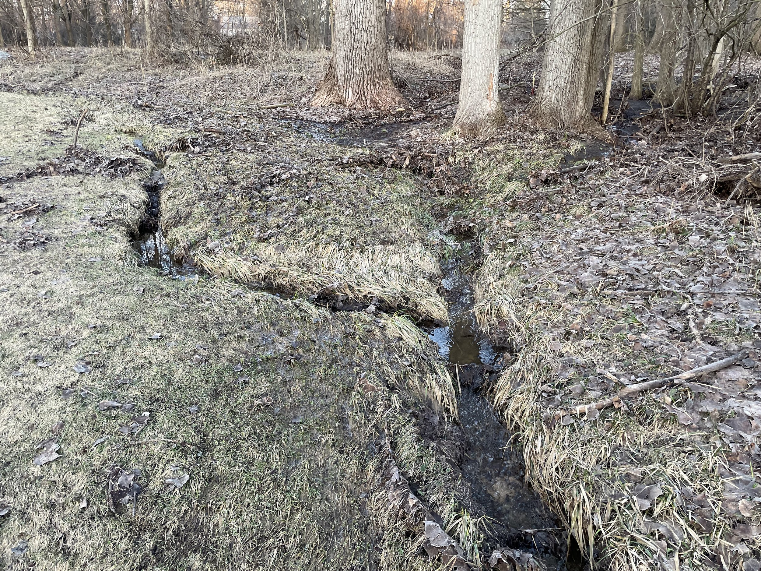 7th Street Development Stormwater Update