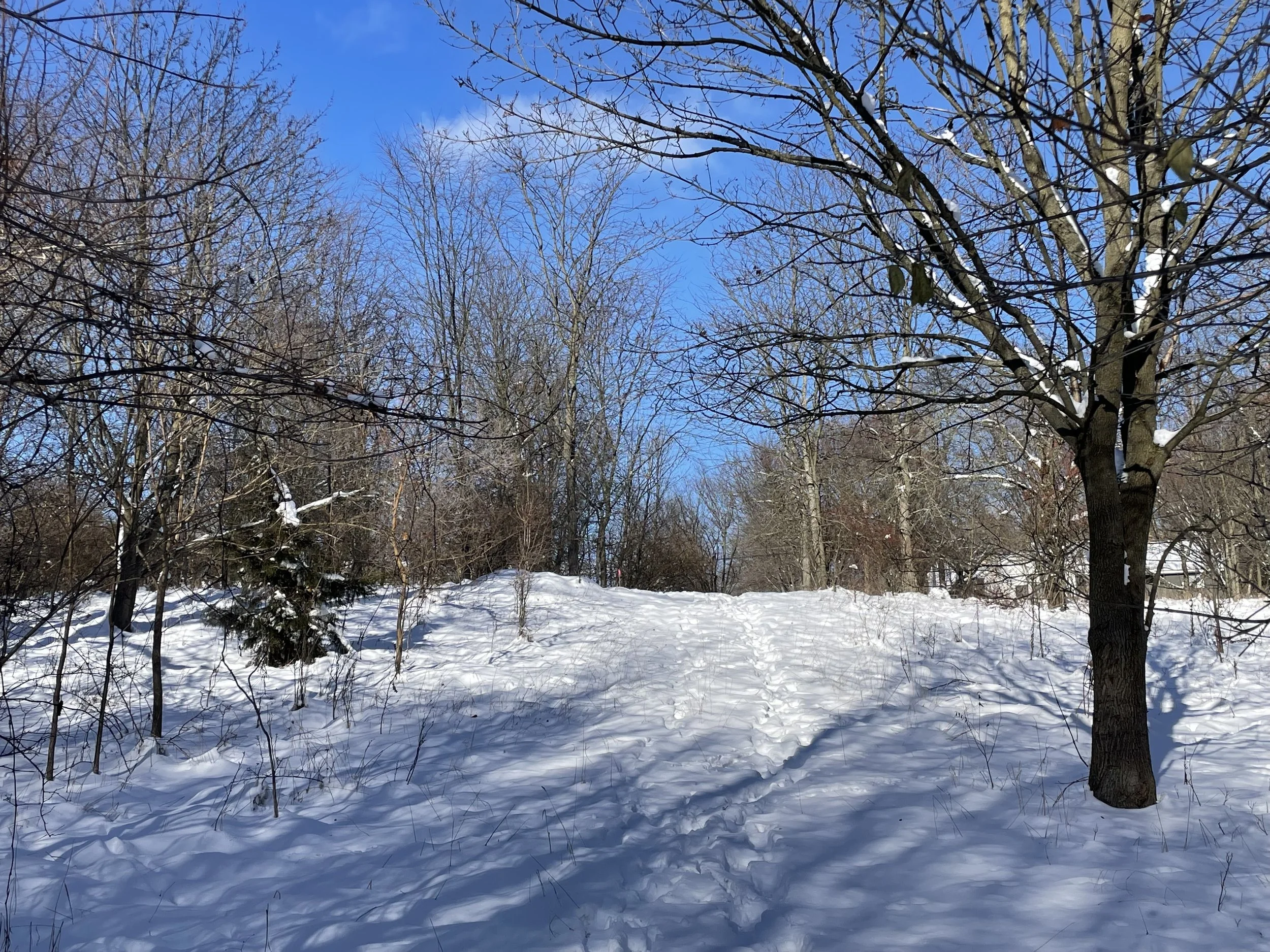 The site of the proposed townhouse development at 2450 7th Street NW in Grand Rapids, Michigan