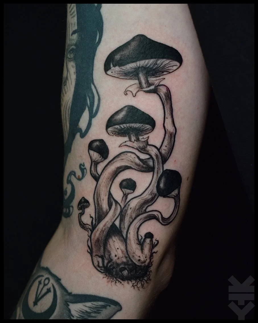 Tattoo of several mushrooms in black and gray ink on a person's arm.