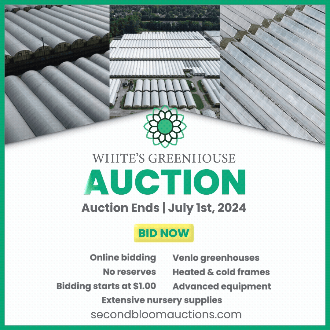 Advertisement for White's Greenhouse auction ending July 1st, 2024, featuring images of greenhouses with listings for online bidding, no reserves, bidding starting at $1.00, extensive nursery supplies, venlo greenhouses, heated and cold frames, and advanced equipment.