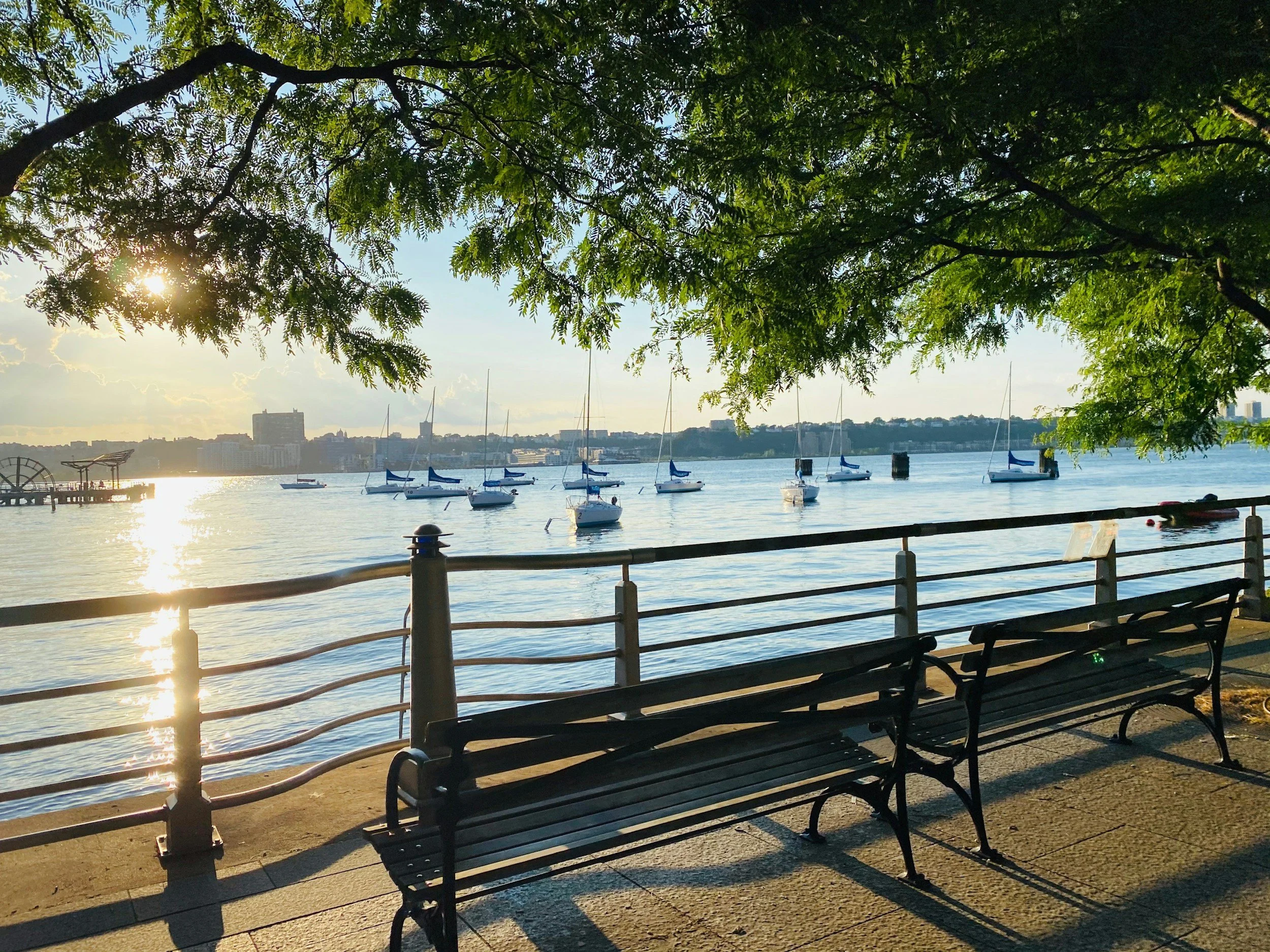 View of a river or lake with sailboats anchored, benches along a paved walkway, green trees overhead, and a cityscape with buildings in the distance during sunset.