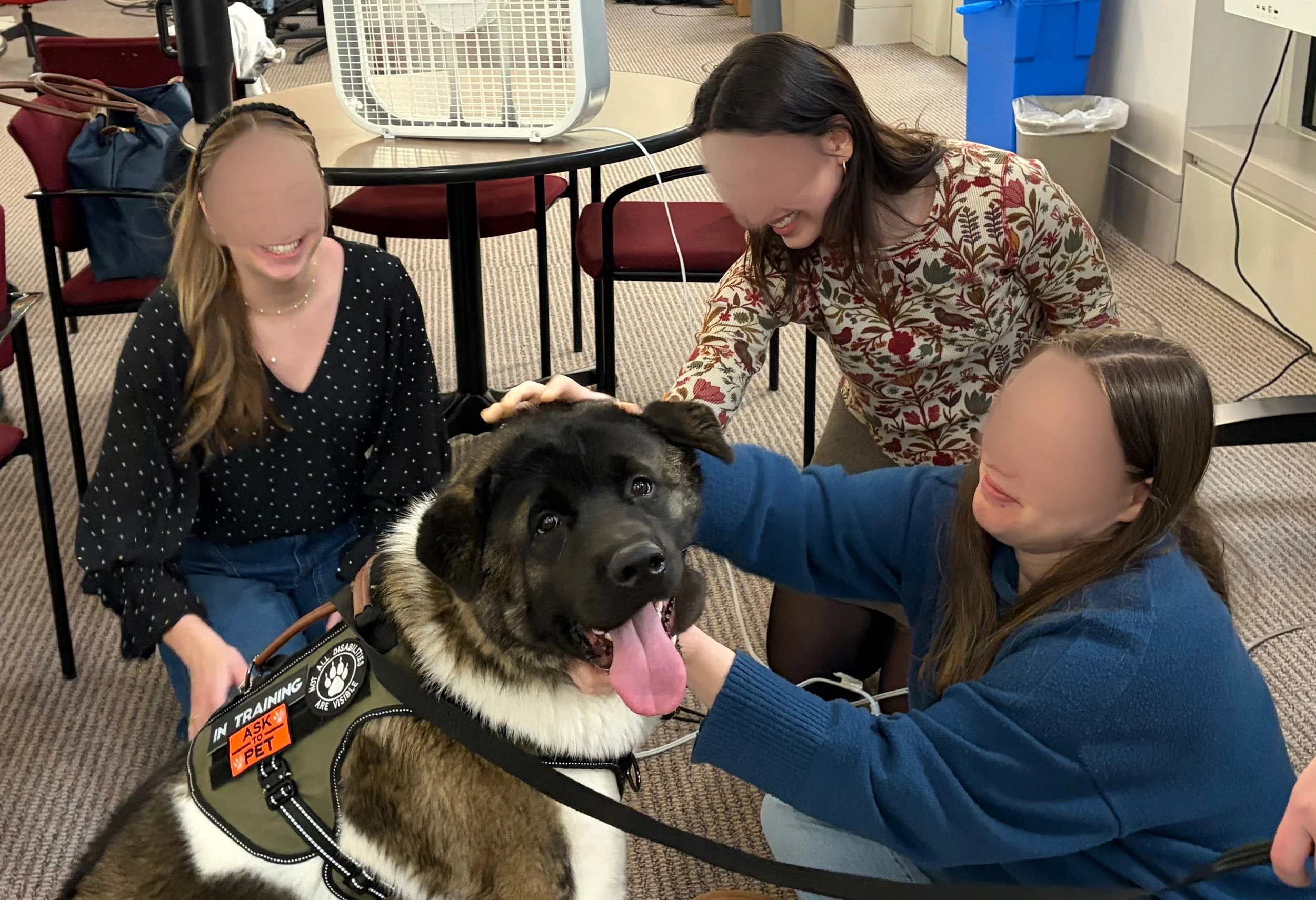 Case Western Reserve University - Midterms Week