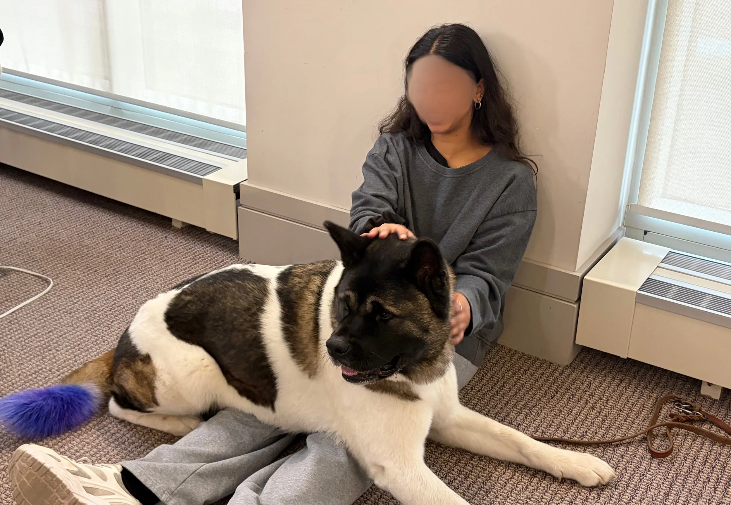 Case Western Reserve University - Midterms Week