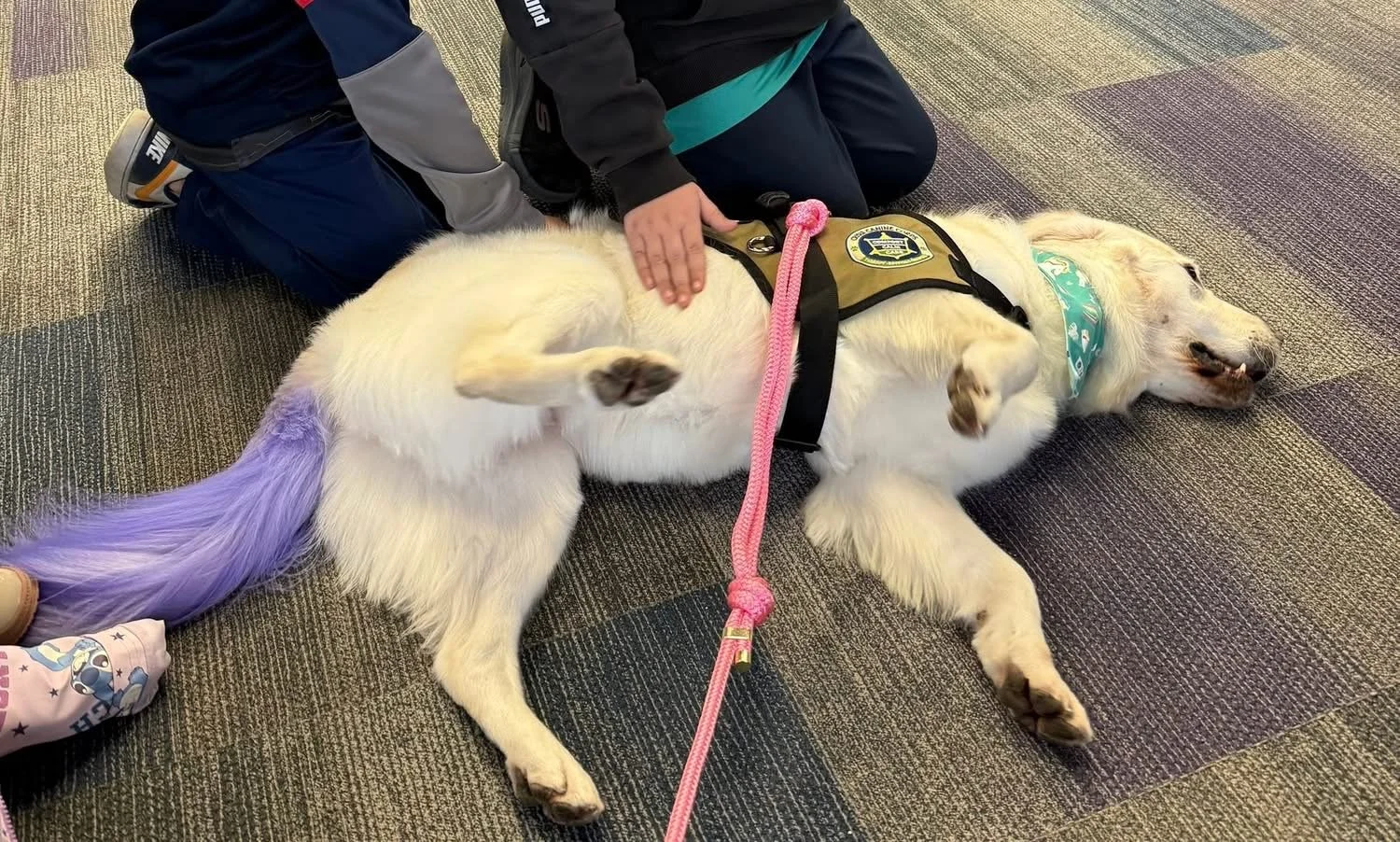 Let's "Paws" and Read Together - Annual interactive family reading night as 'One Book, One School' celebration kicks off in honor of a beloved teacher who shares her love of reading and dogs with the school.