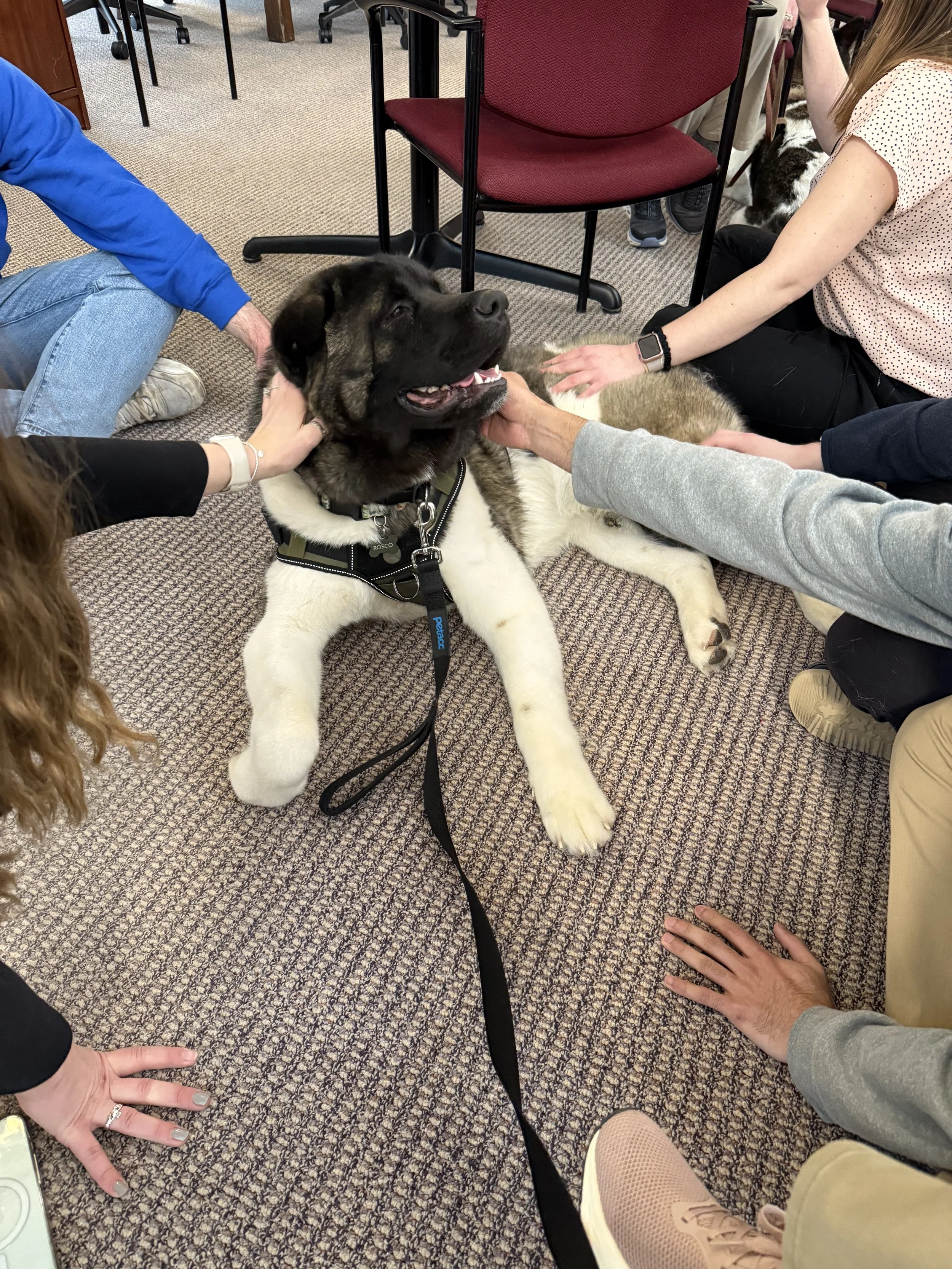 Case Western Reserve University - Midterms Week