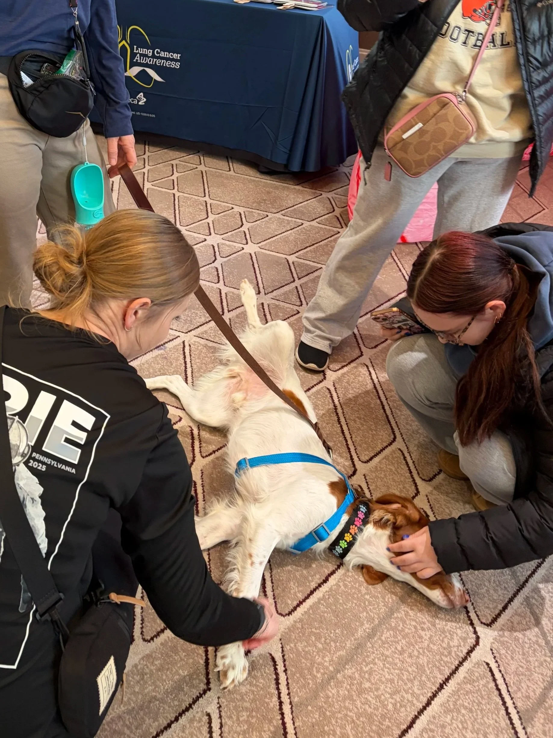 American Lung Association - Fight for Air Climb