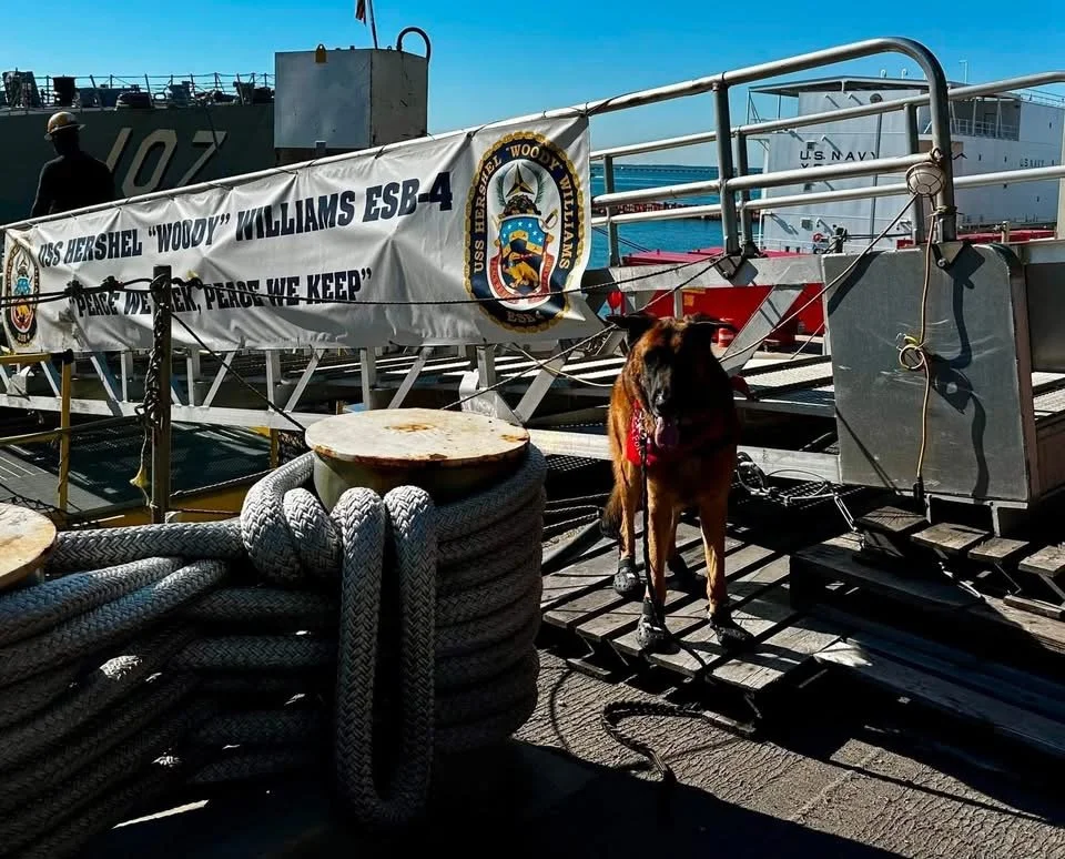 USS Hershel "Woody" Williams Homecoming