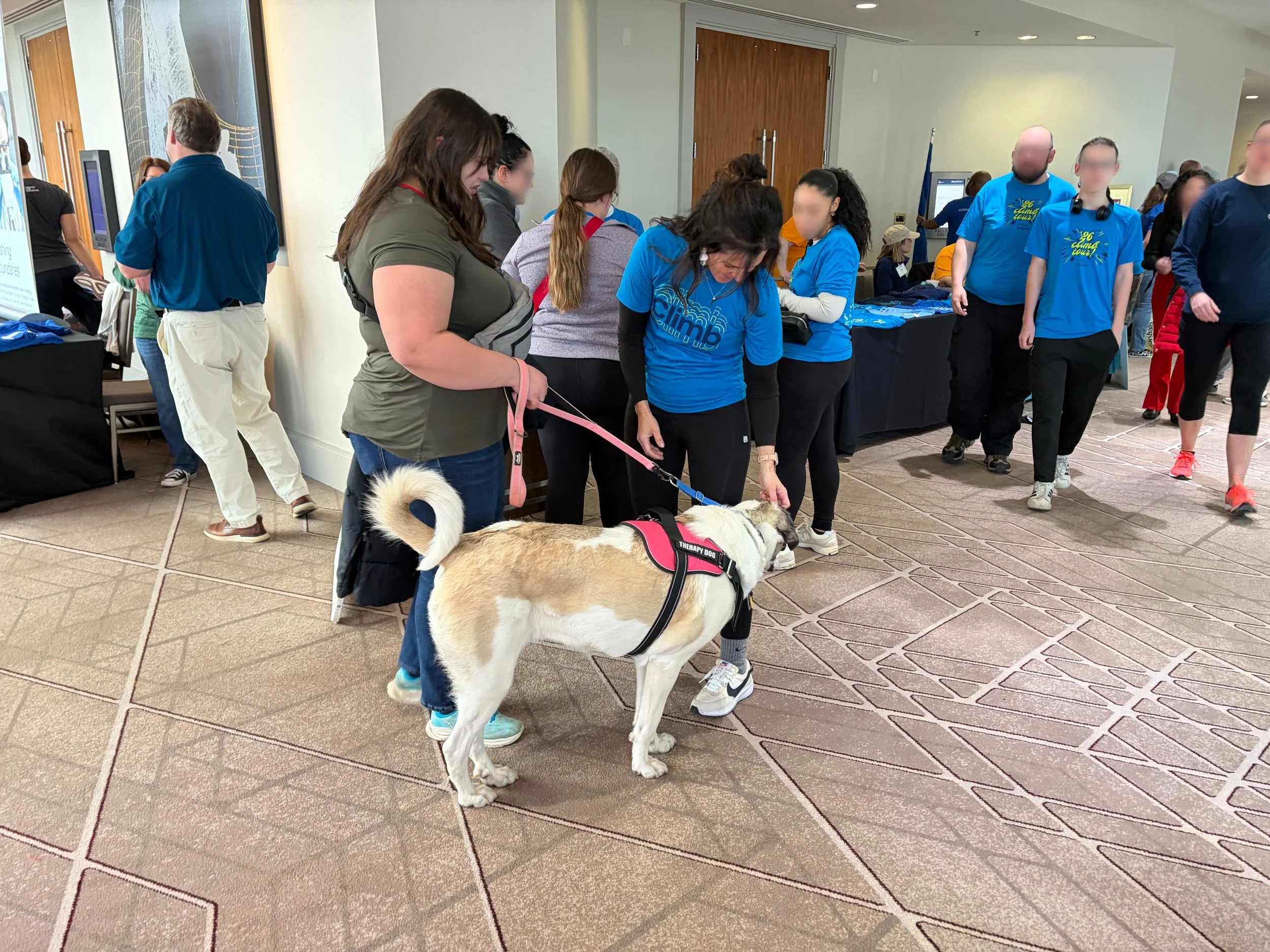 American Lung Association - Fight for Air Climb
