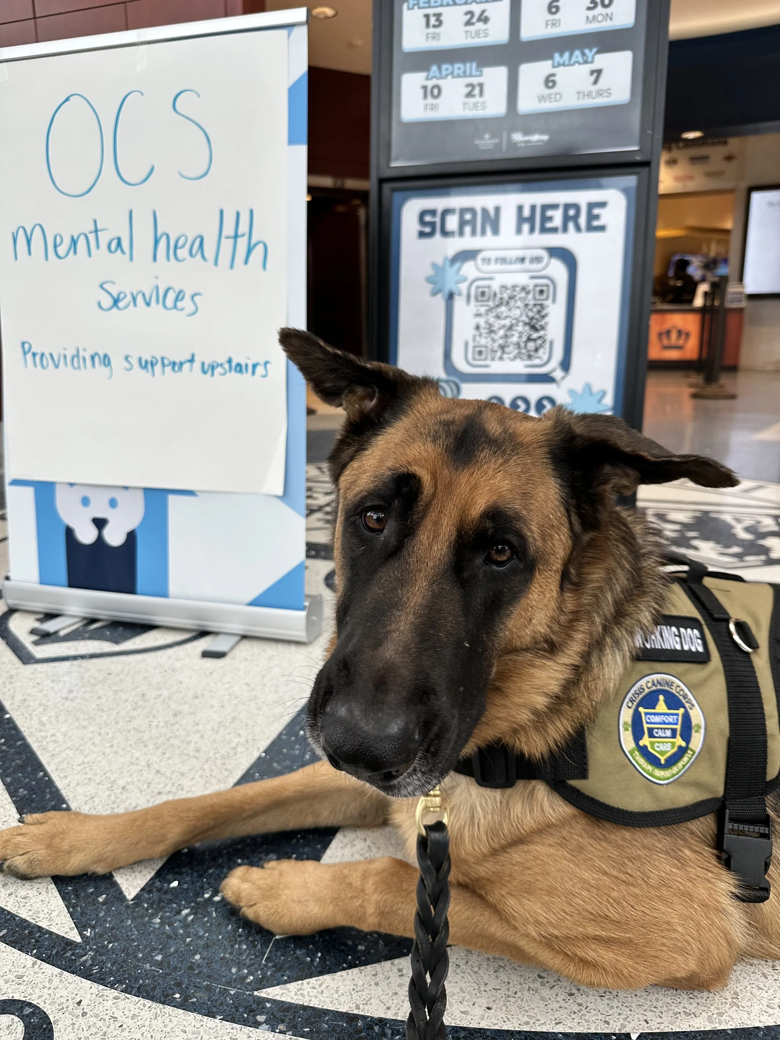 Our VA CCC Team, Erin & Apollo, responding to Old Dominion University. Invited due to their deep ties with the school, this team arrived in under 3 hours to provide critical support after a campus tragedy.