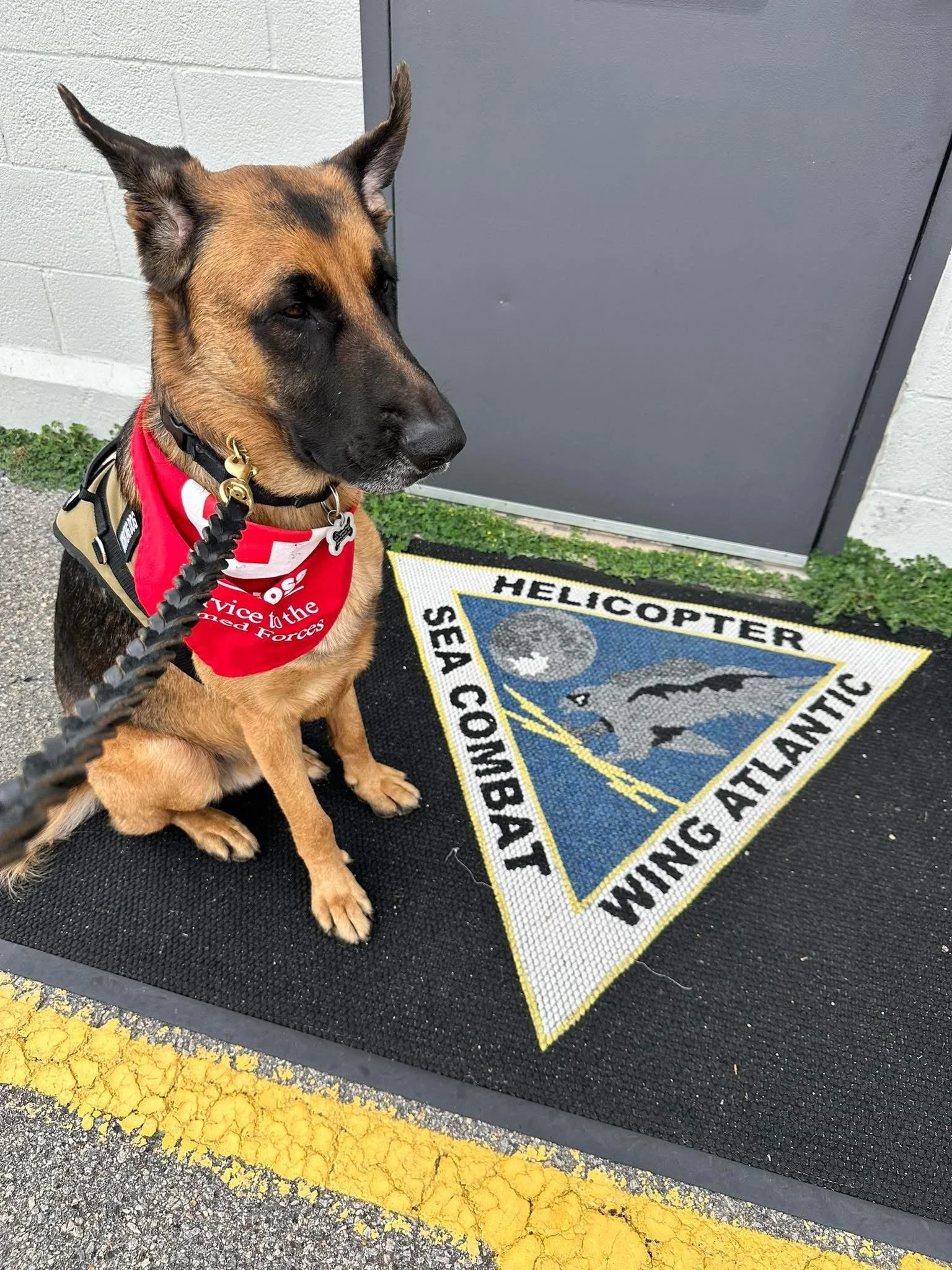 Apollo at the Naval Base
