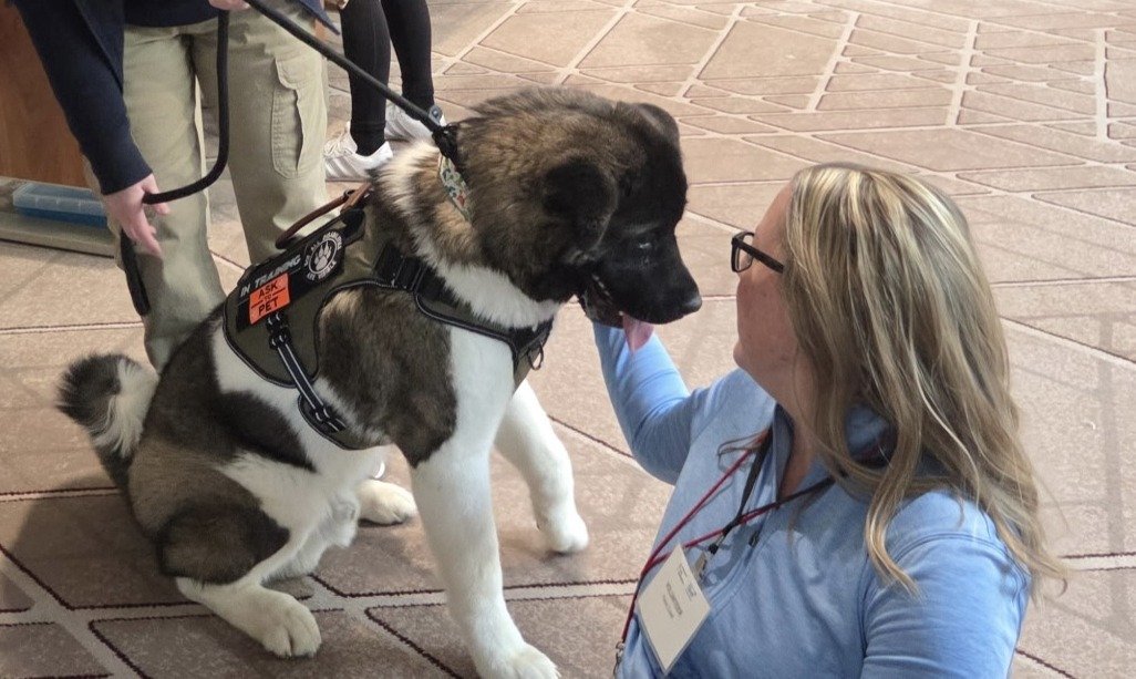American Lung Association - Fight for Air Climb