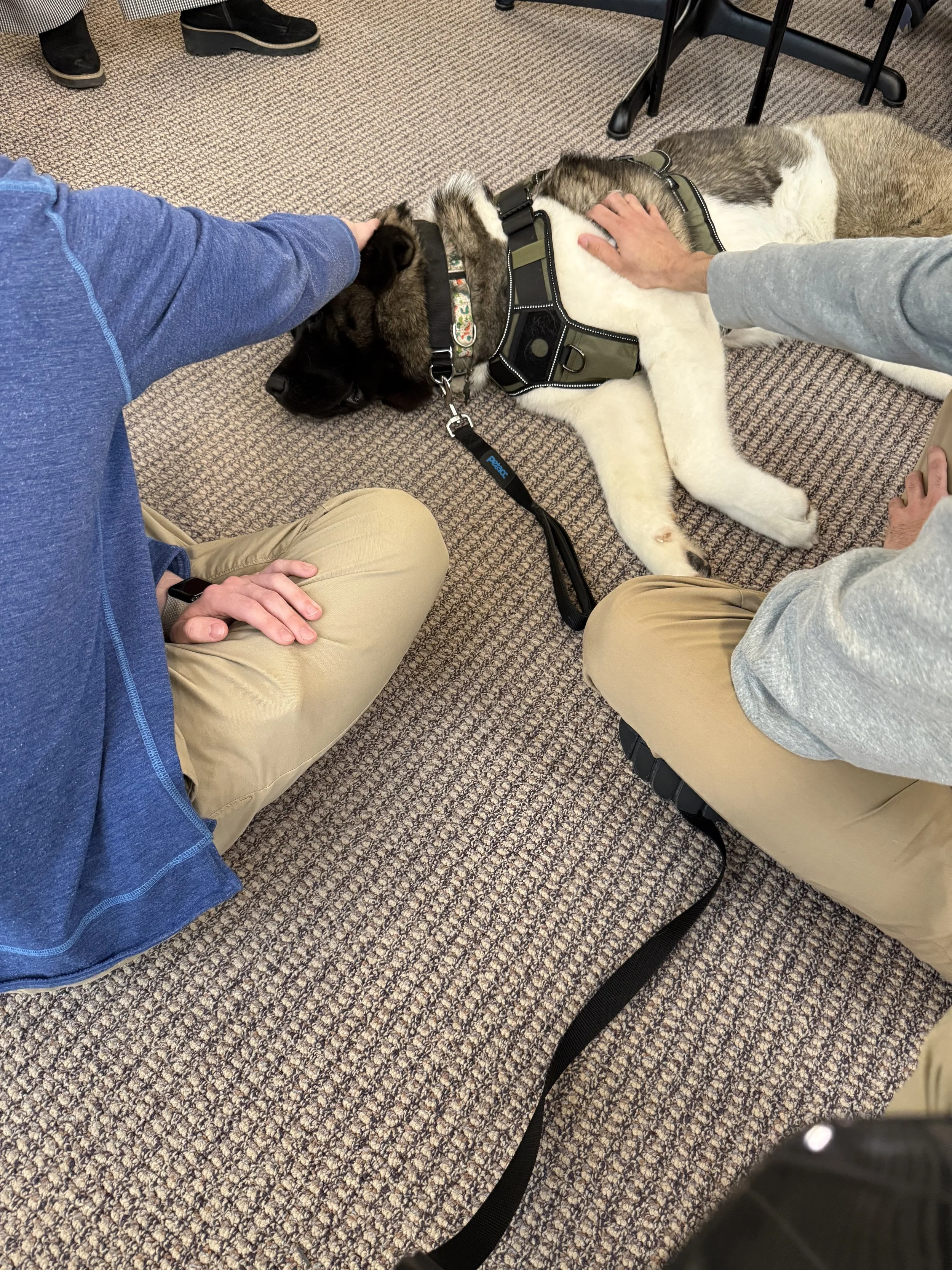 Case Western Reserve University - Midterms Week