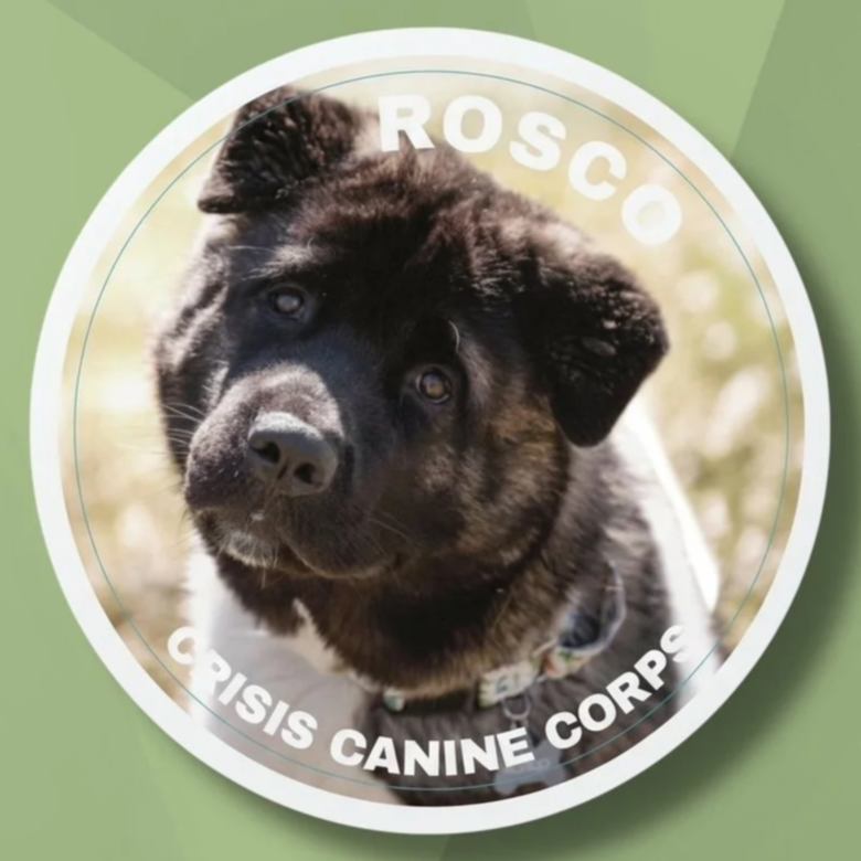 Crisis Canine Sticker: Rosco
