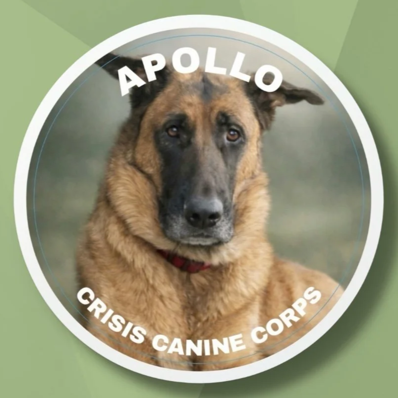 Crisis Canine Sticker: Apollo