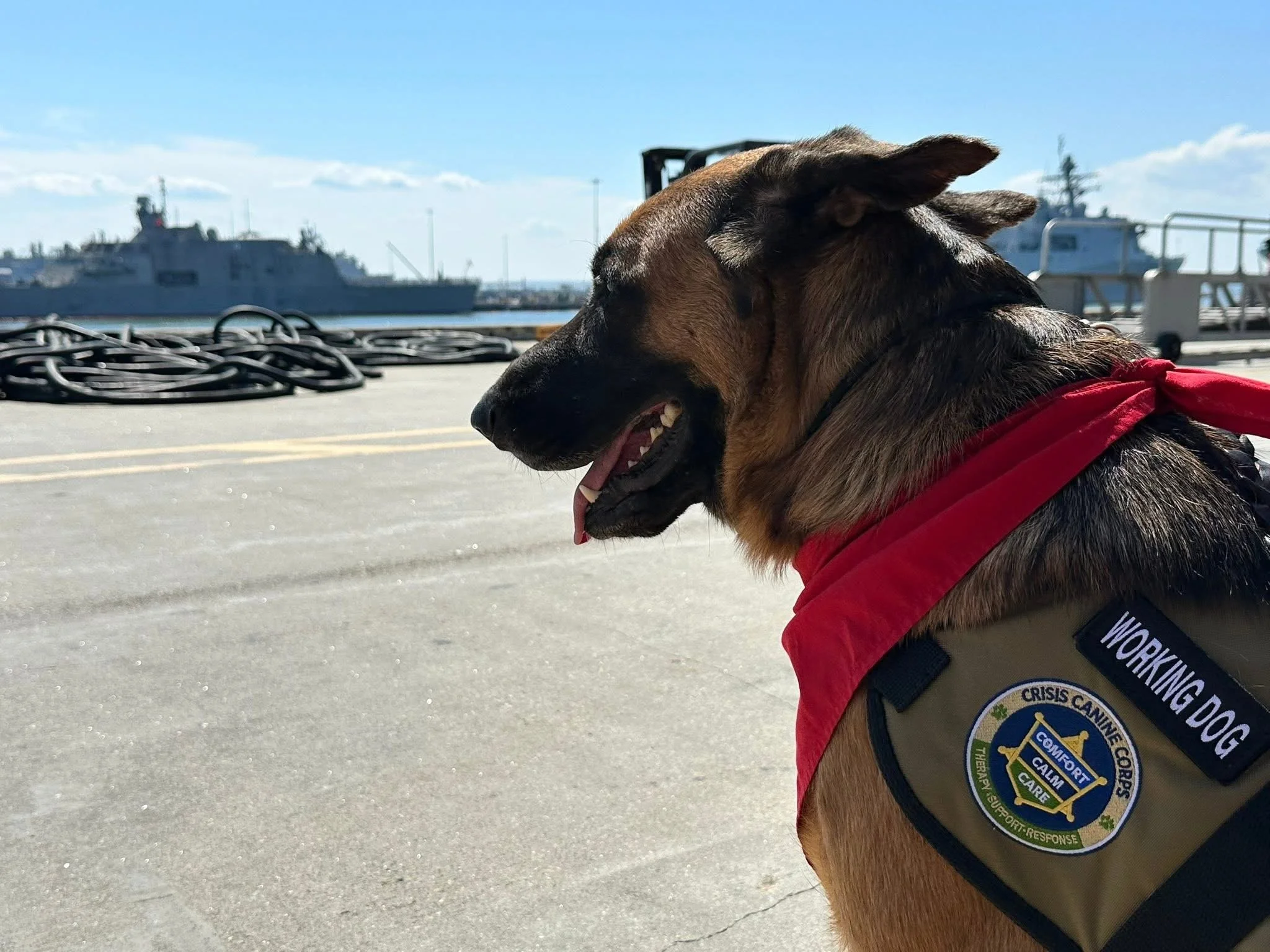 USS Gettysburg Homecoming - Apollo