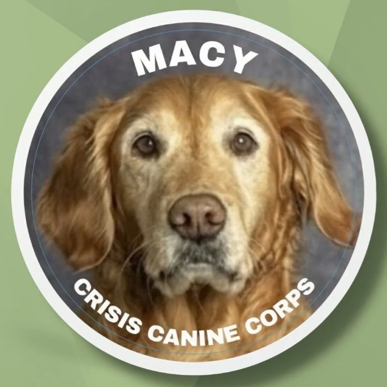 Macy+Website+Sticker.png