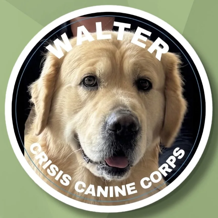 Walter+Website+Sticker.png