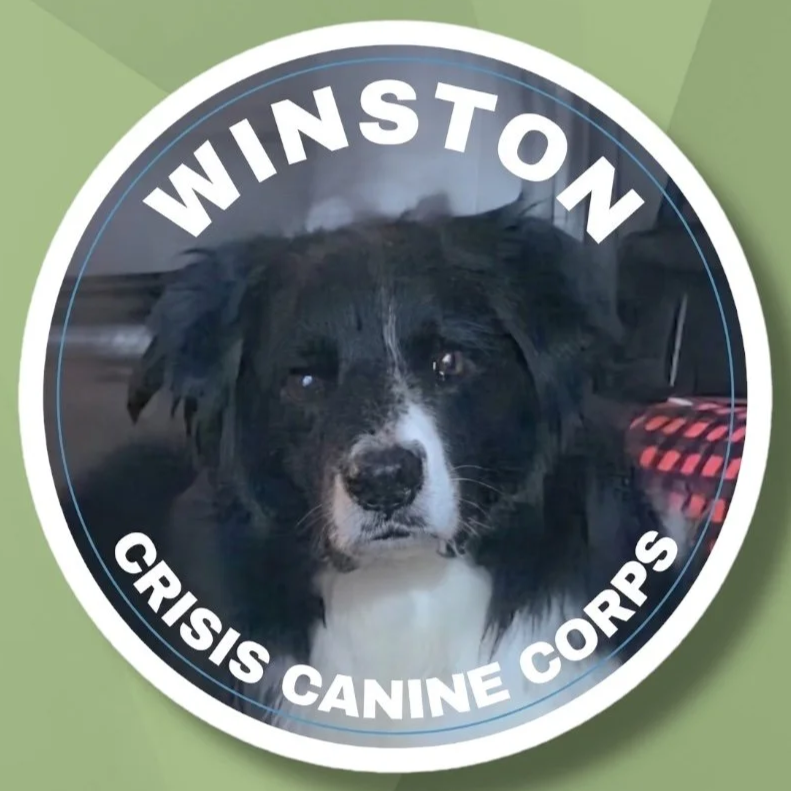 Winston+Website+Sticker.png