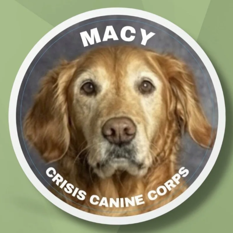 Crisis Canine Sticker: Macy