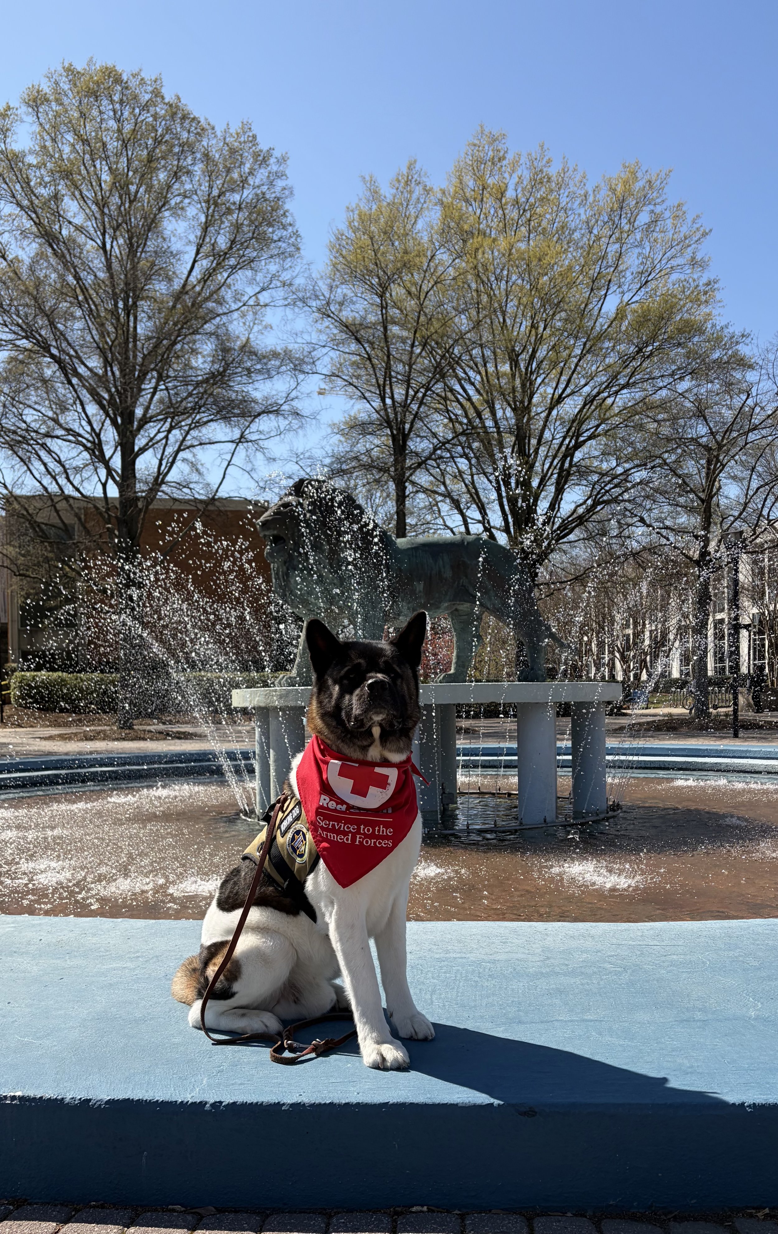 Zodiac supporting ODU and American Red Cross