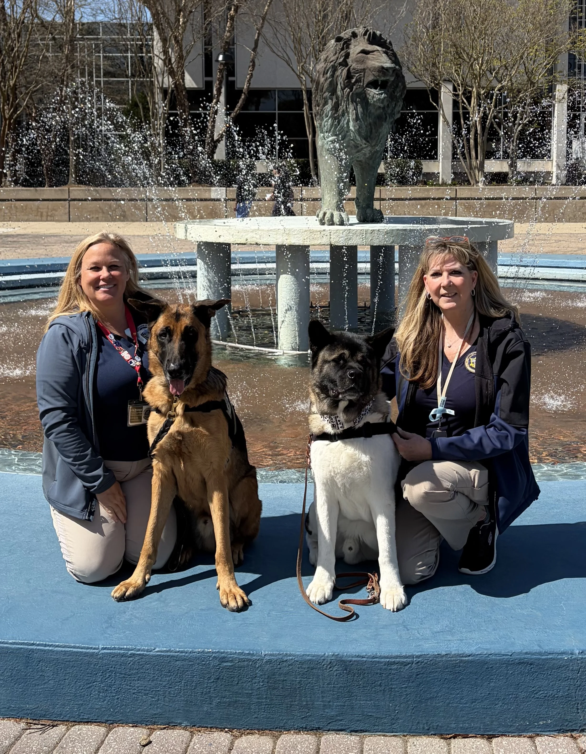 CCC VA Team Erin & Apollo and OH Team Shirley & Zodiac