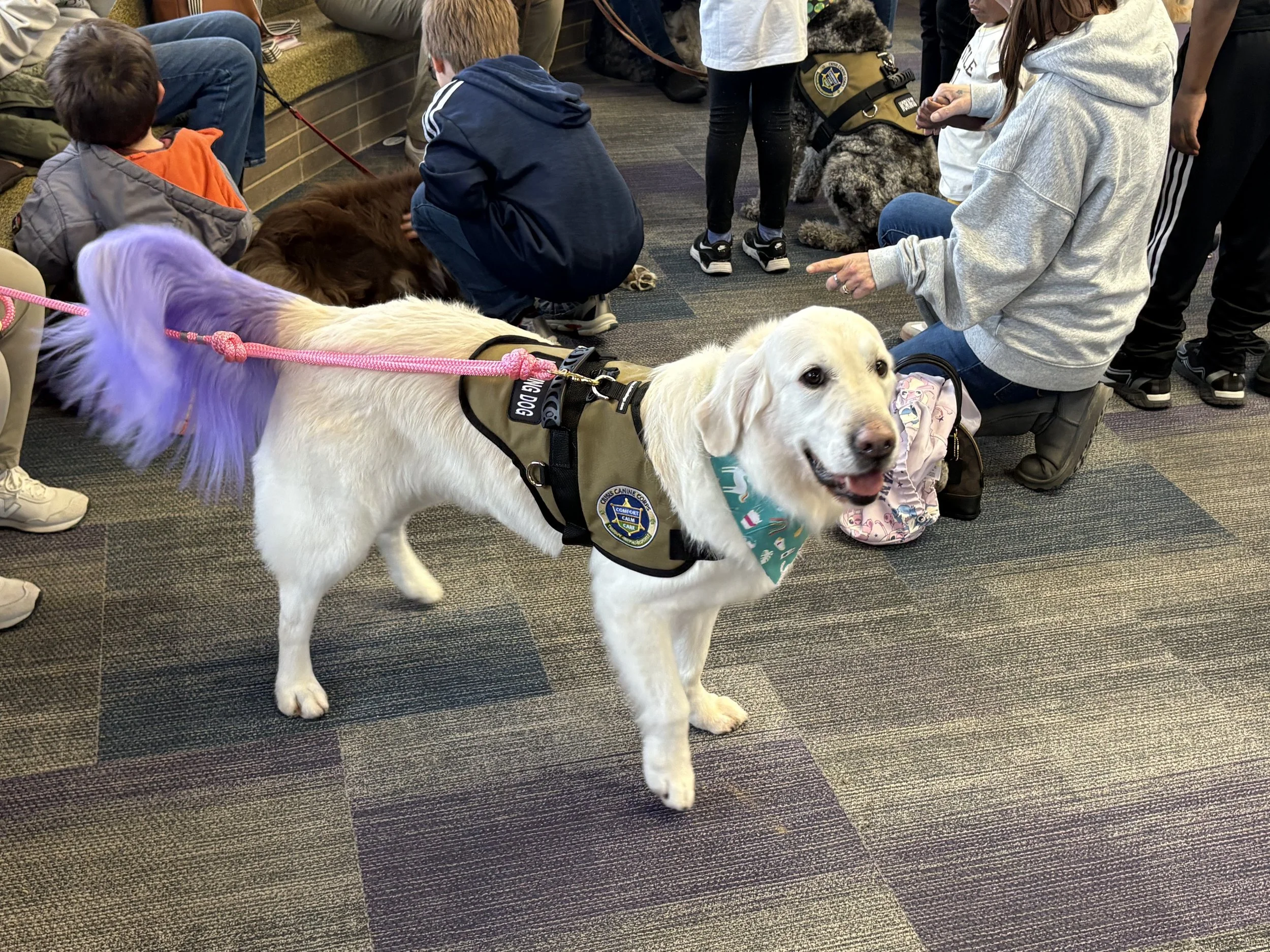 Let's "Paws" and Read Together - Annual interactive family reading night as 'One Book, One School' celebration kicks off in honor of a beloved teacher who shares her love of reading and dogs with the school.
