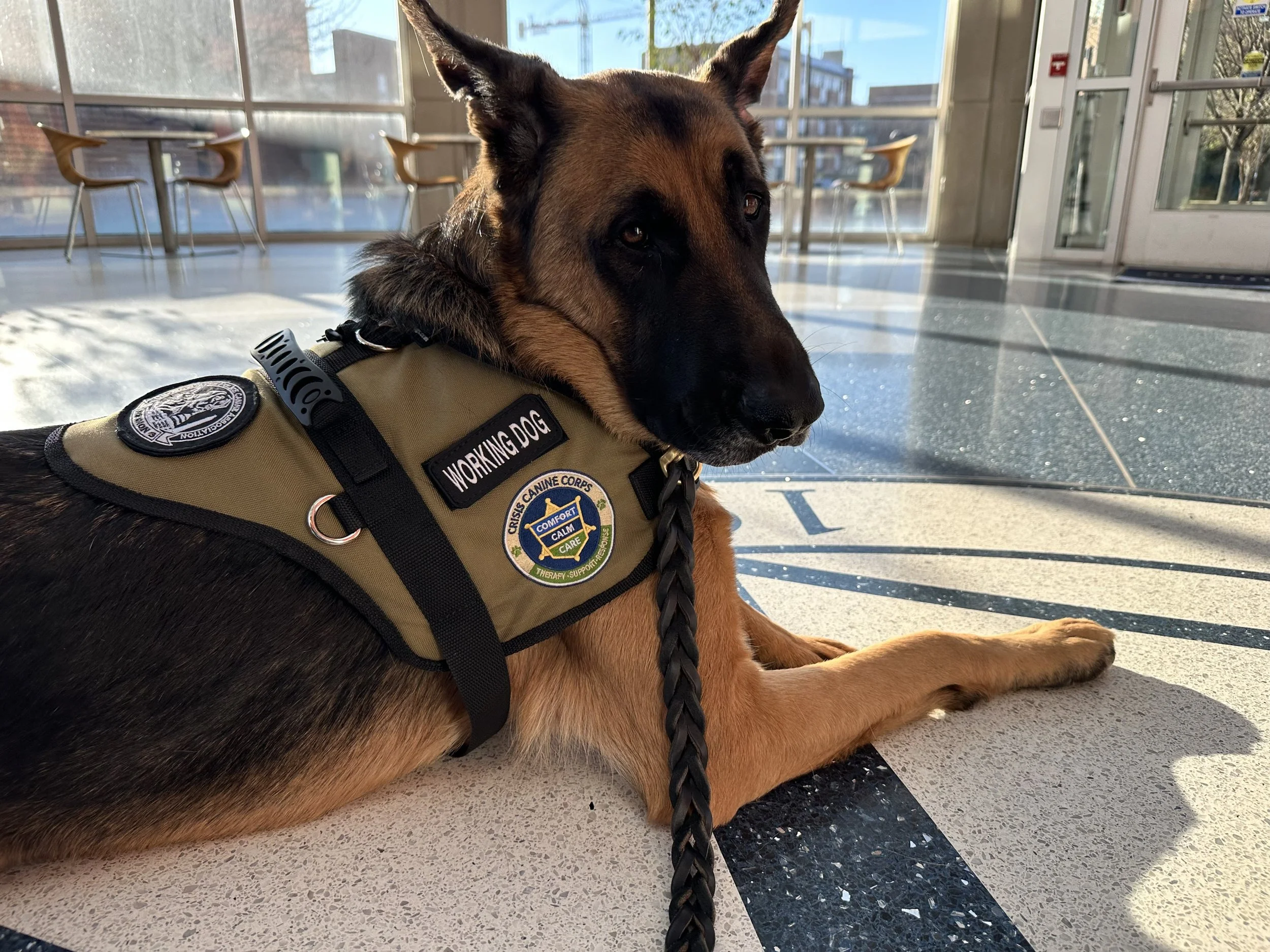 Our VA CCC Team, Erin & Apollo, responding to Old Dominion University. Invited due to their deep ties with the school, this team arrived in under 3 hours to provide critical support after a campus tragedy.