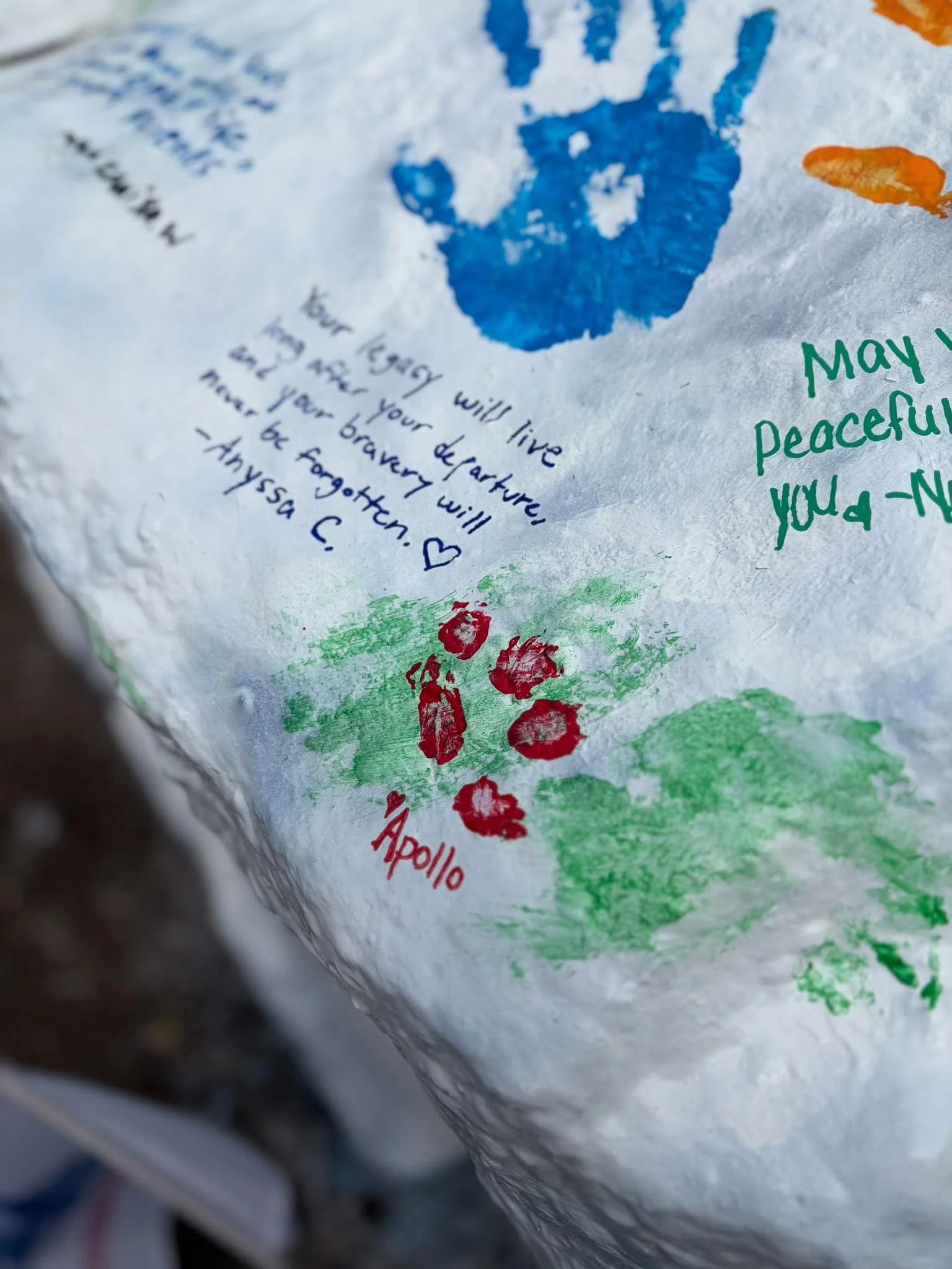 Lt Col Shah Memorial