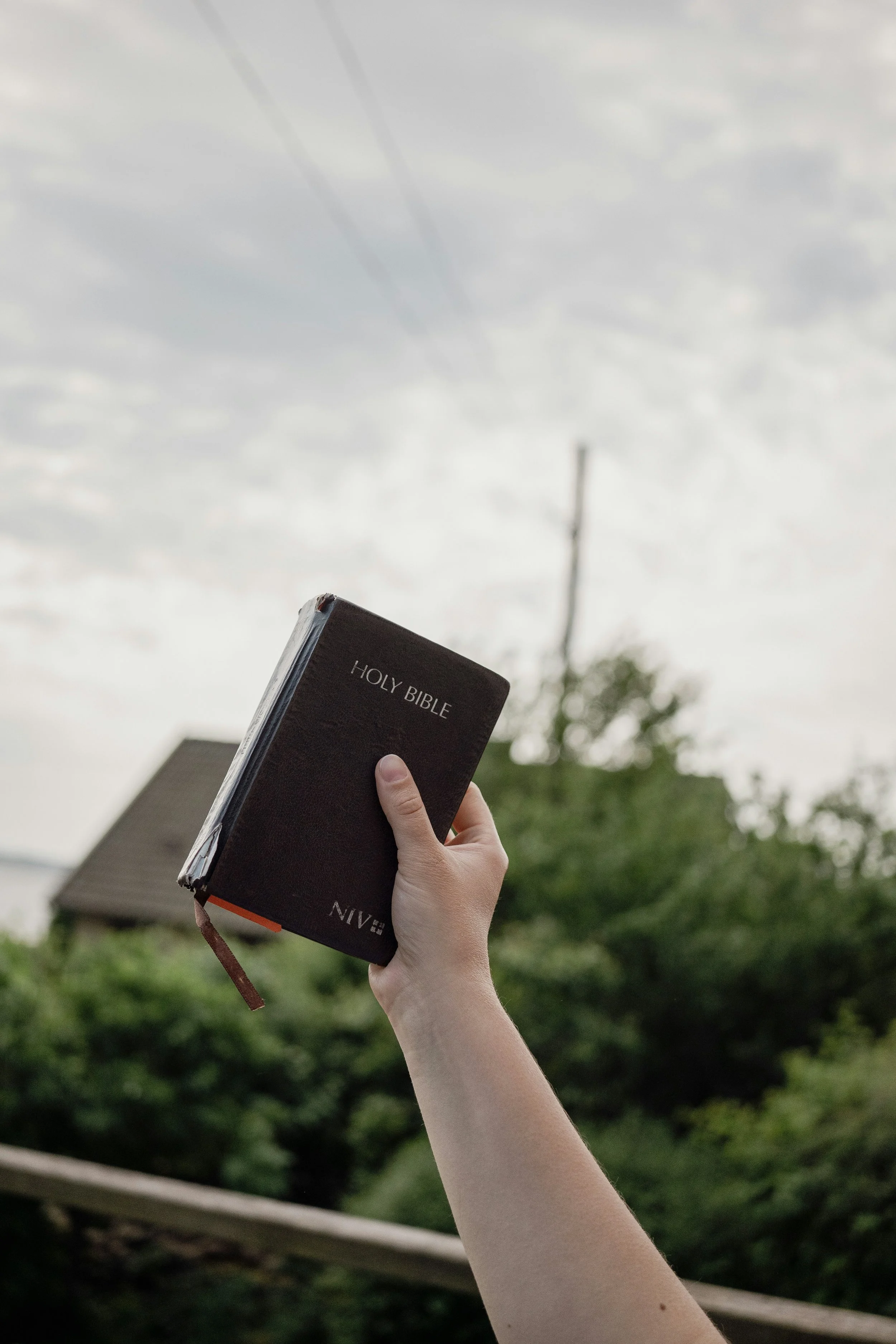 Bible Reading Resurgence