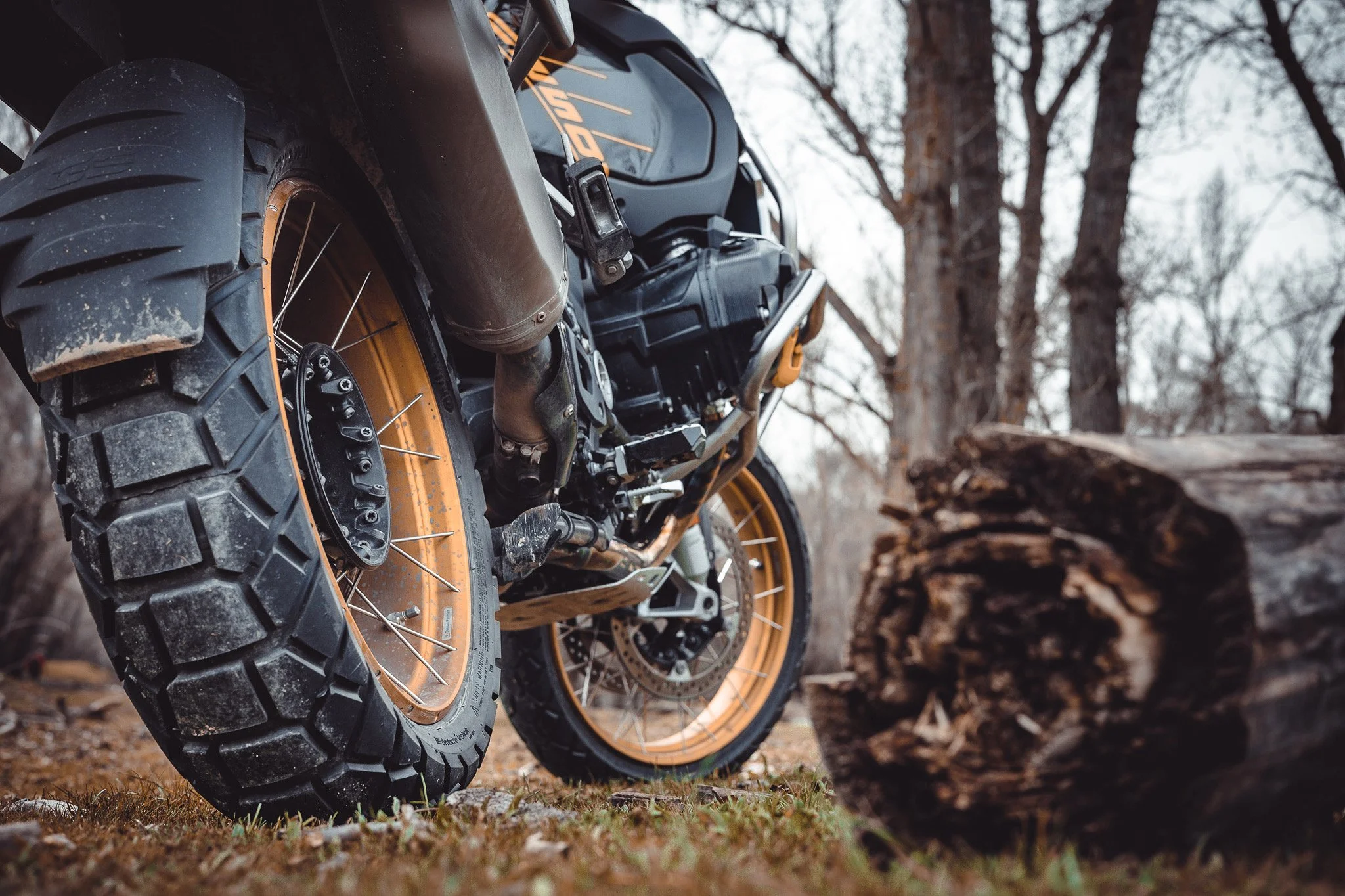 Moto de aventura con neumáticos grandes en un entorno forestal con troncos de árboles a un lado.