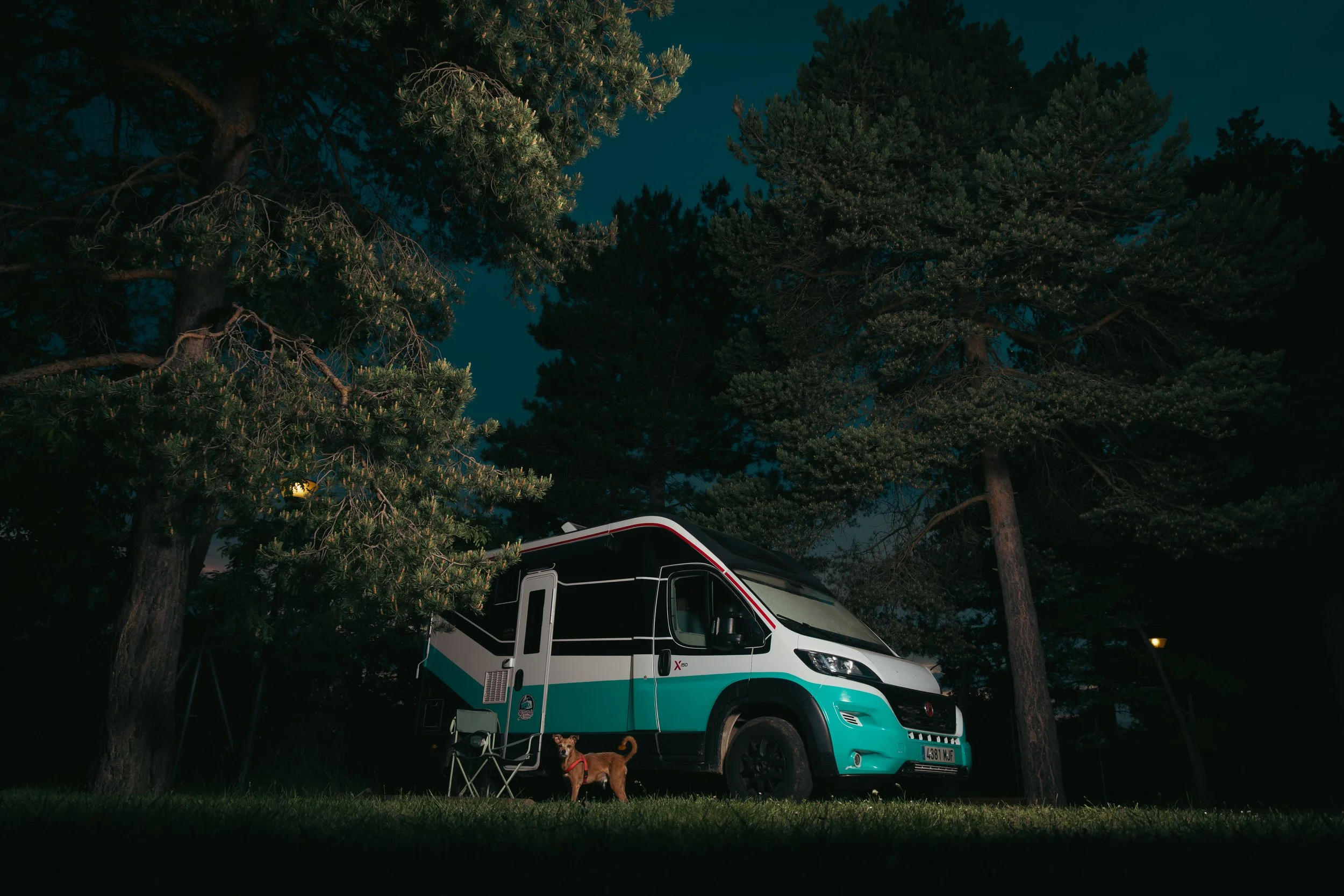 Camper en un bosque de noche, rodeado de árboles altos y con un perro de raza mediana con collar rojo parado frente a la camper.