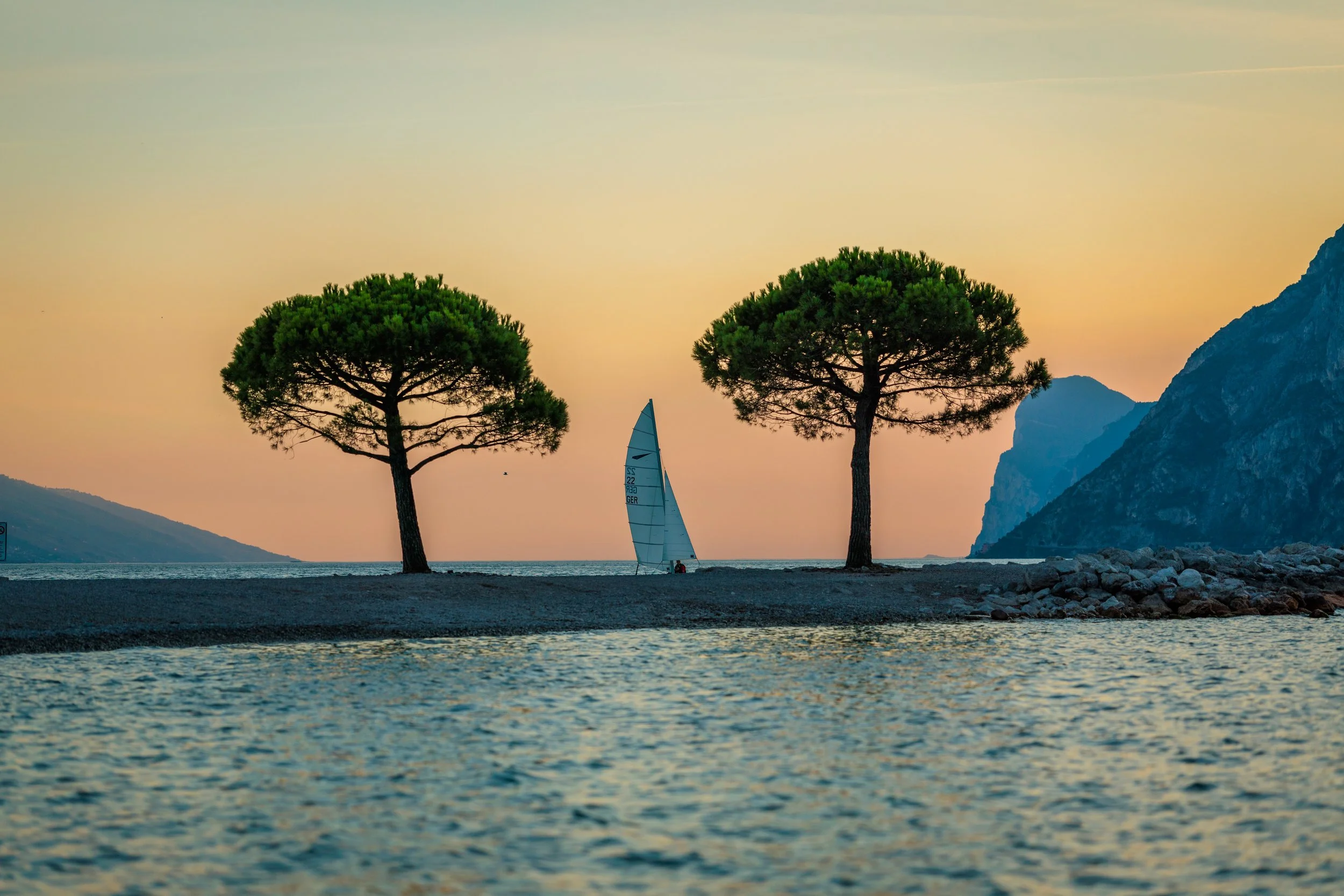 Dos árboles grandes junto a la playa, con un velero navegando en el mar al atardecer y montañas al fondo. lago