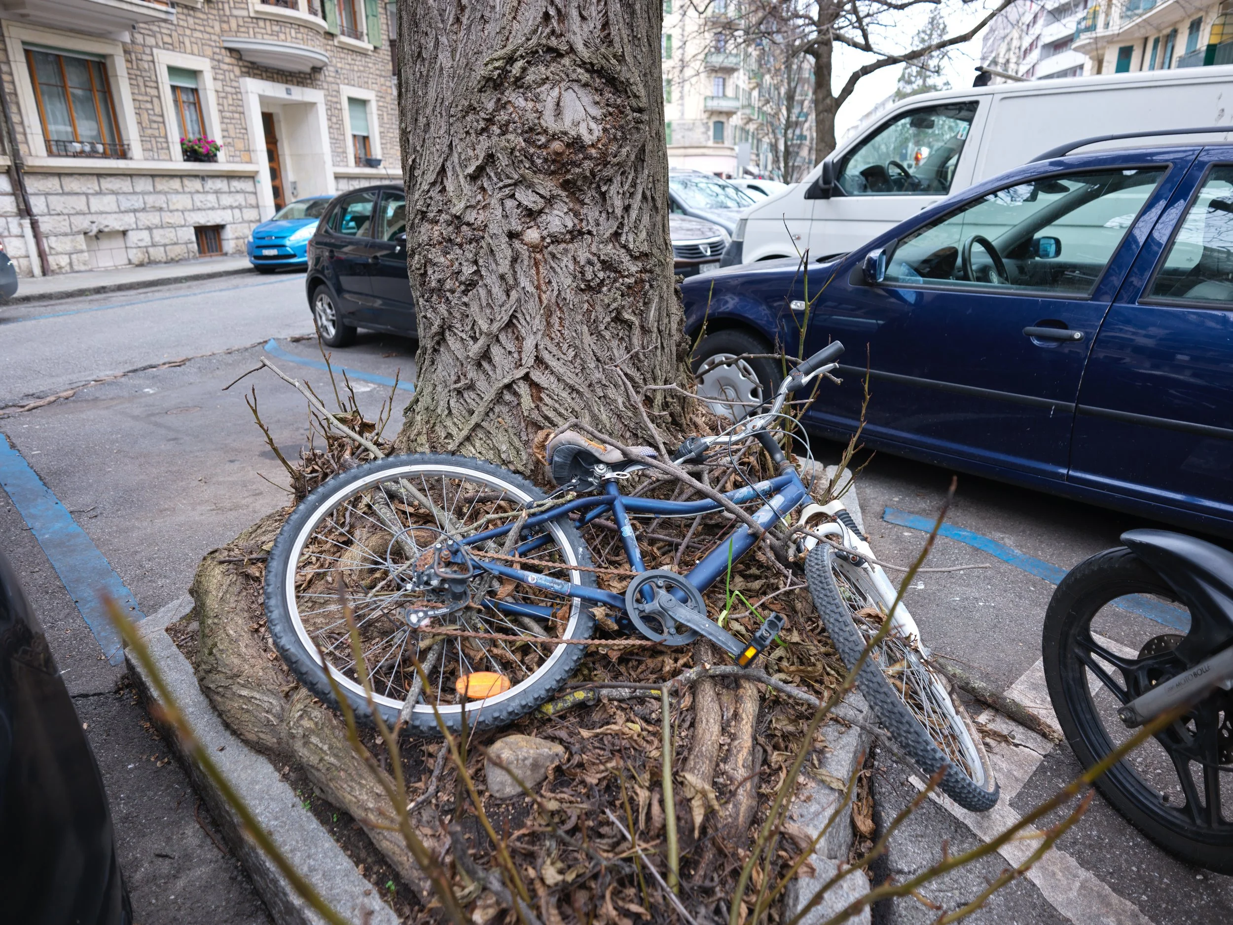 Wind #2 - Geneva - B0000314.jpg