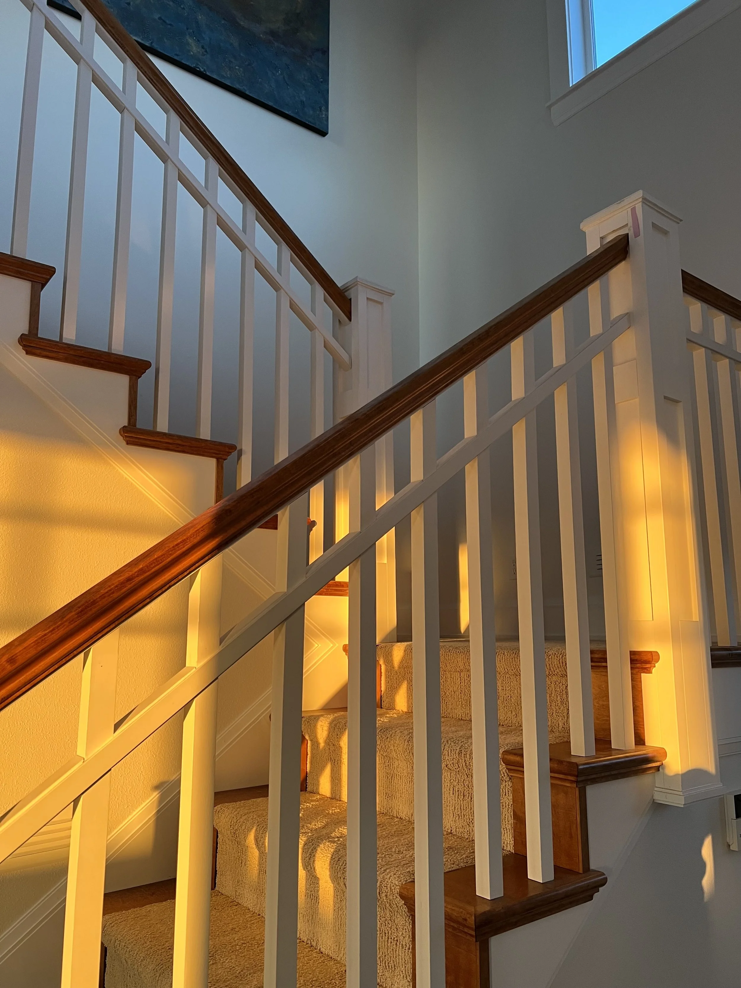 Light moves differently throughout the day.