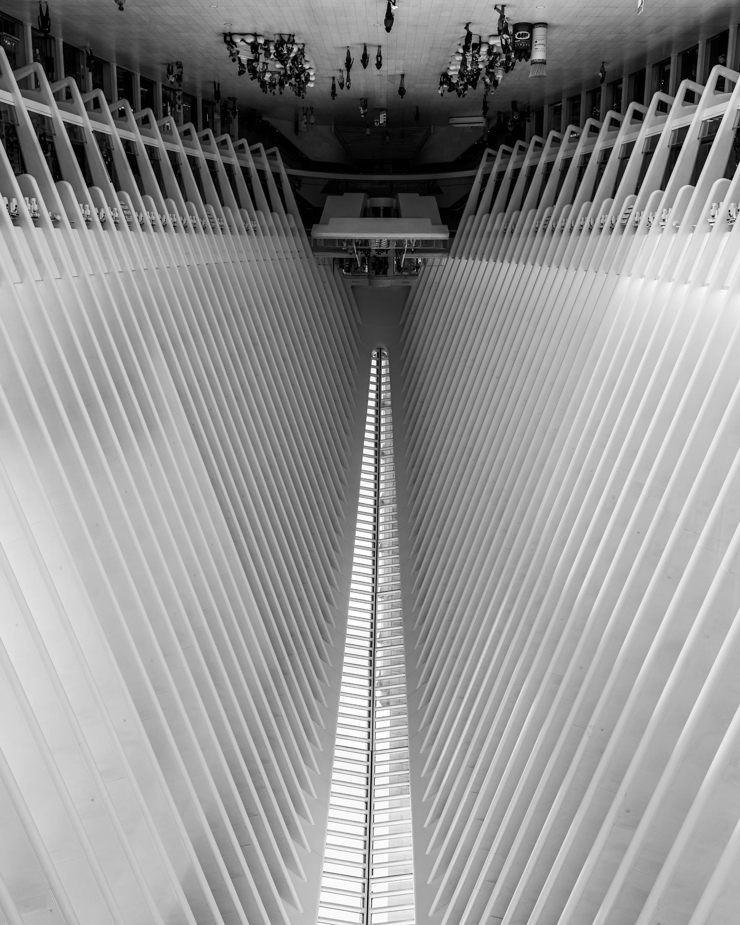 Interior view of an architectural structure with symmetrical white vertical slats forming a narrow, elongated opening, with a glass ceiling allowing natural light to enter.