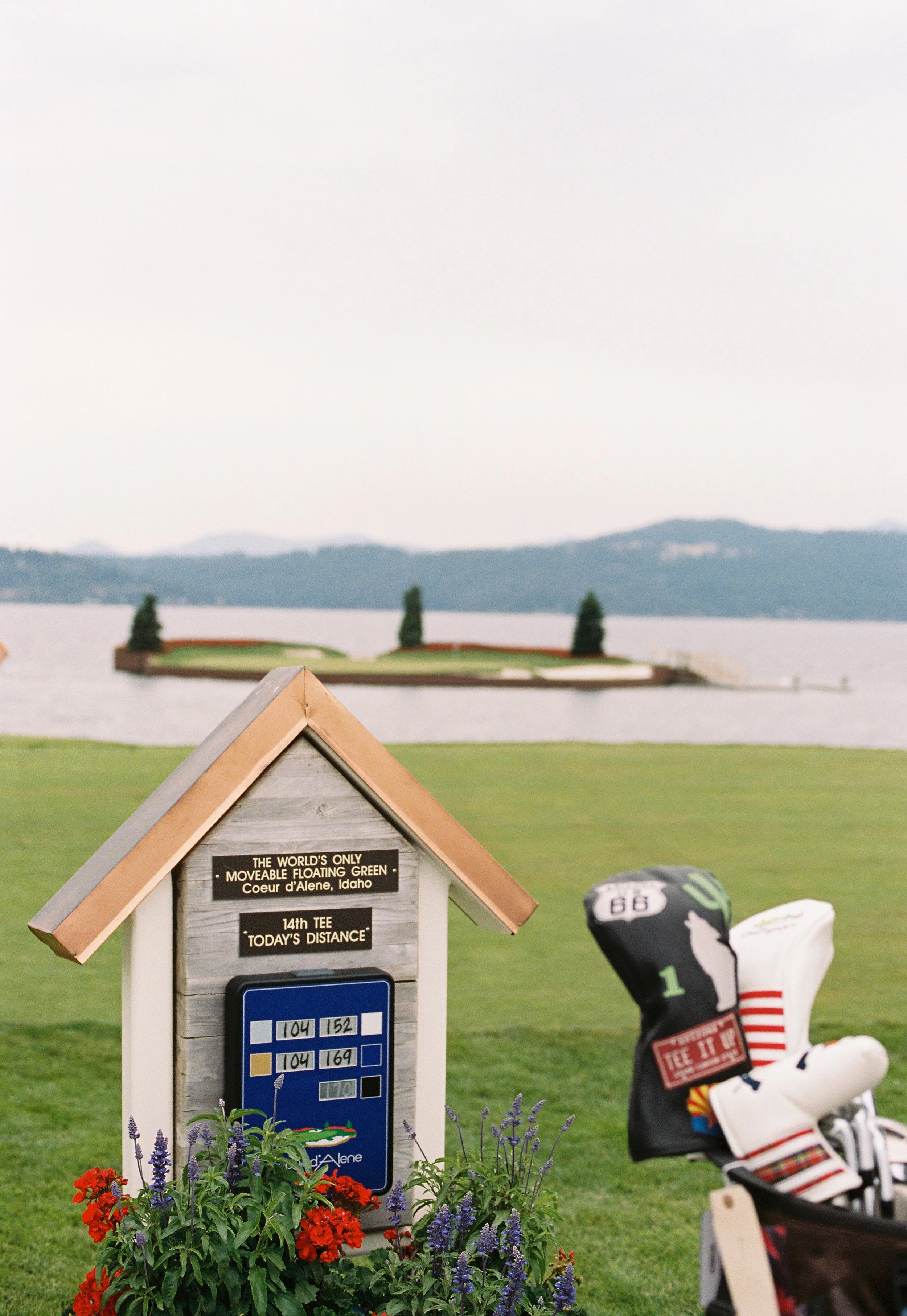 PL_6787_Portra 400_036005-R1-034-15A.jpeg