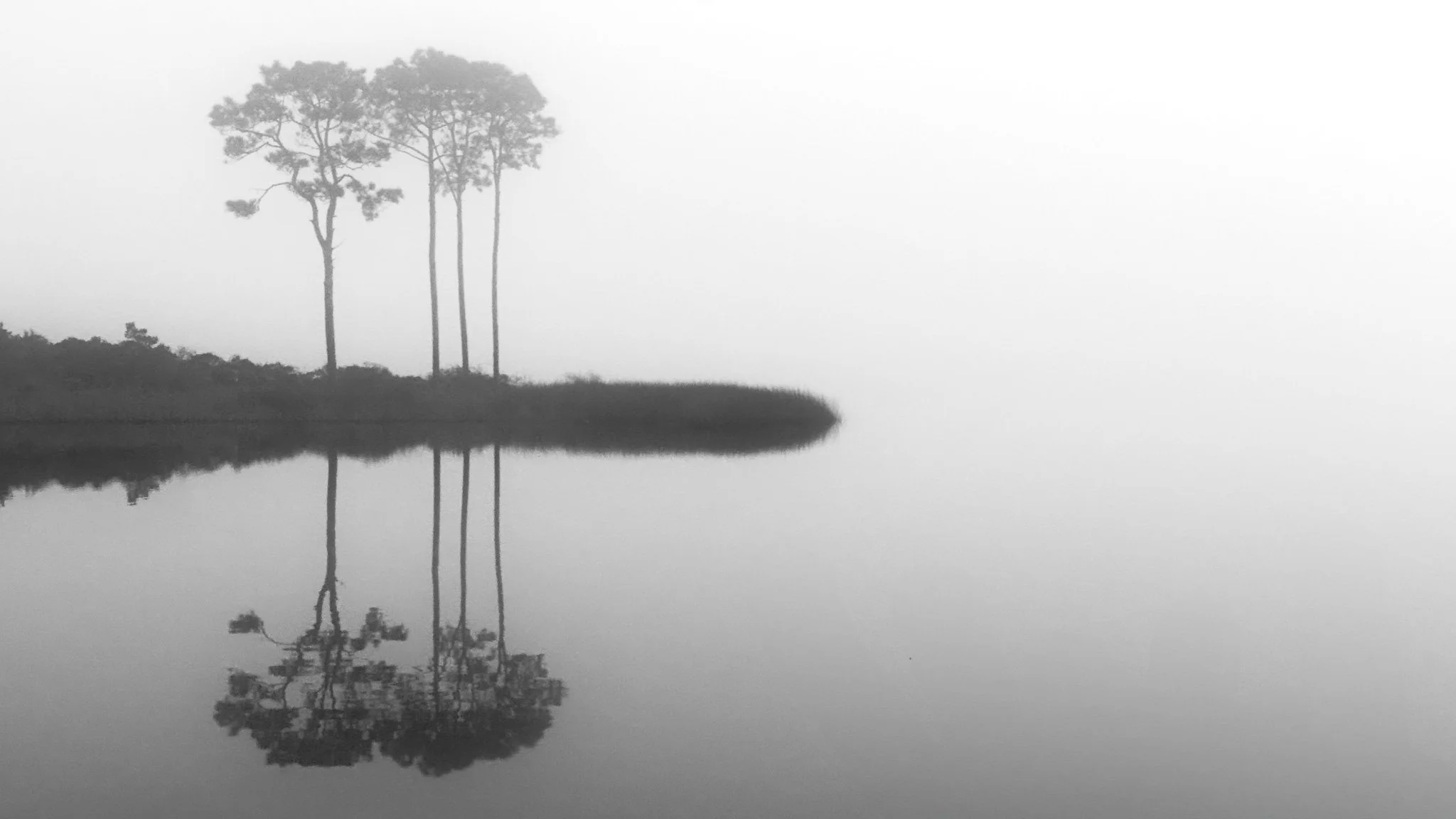 Black and white photo of a lake with a small landmass on the left, featuring tall, sparse trees. The trees' reflections are mirrored in the calm water. The scene has a misty or foggy atmosphere, creating a peaceful, minimalist landscape.