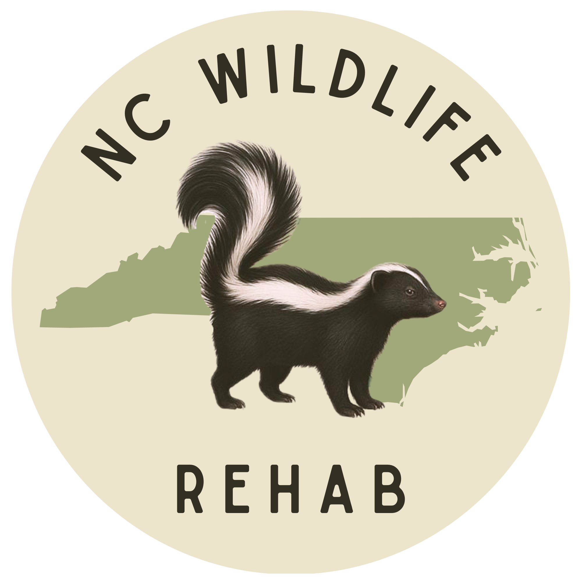 Logo for North Carolina Wildlife Rehab featuring a skunk with a black-and-white fur pattern, walking in front of a green silhouette map of North Carolina, with the text 'NC WILDLIFE REHAB' curving above and below the skunk.