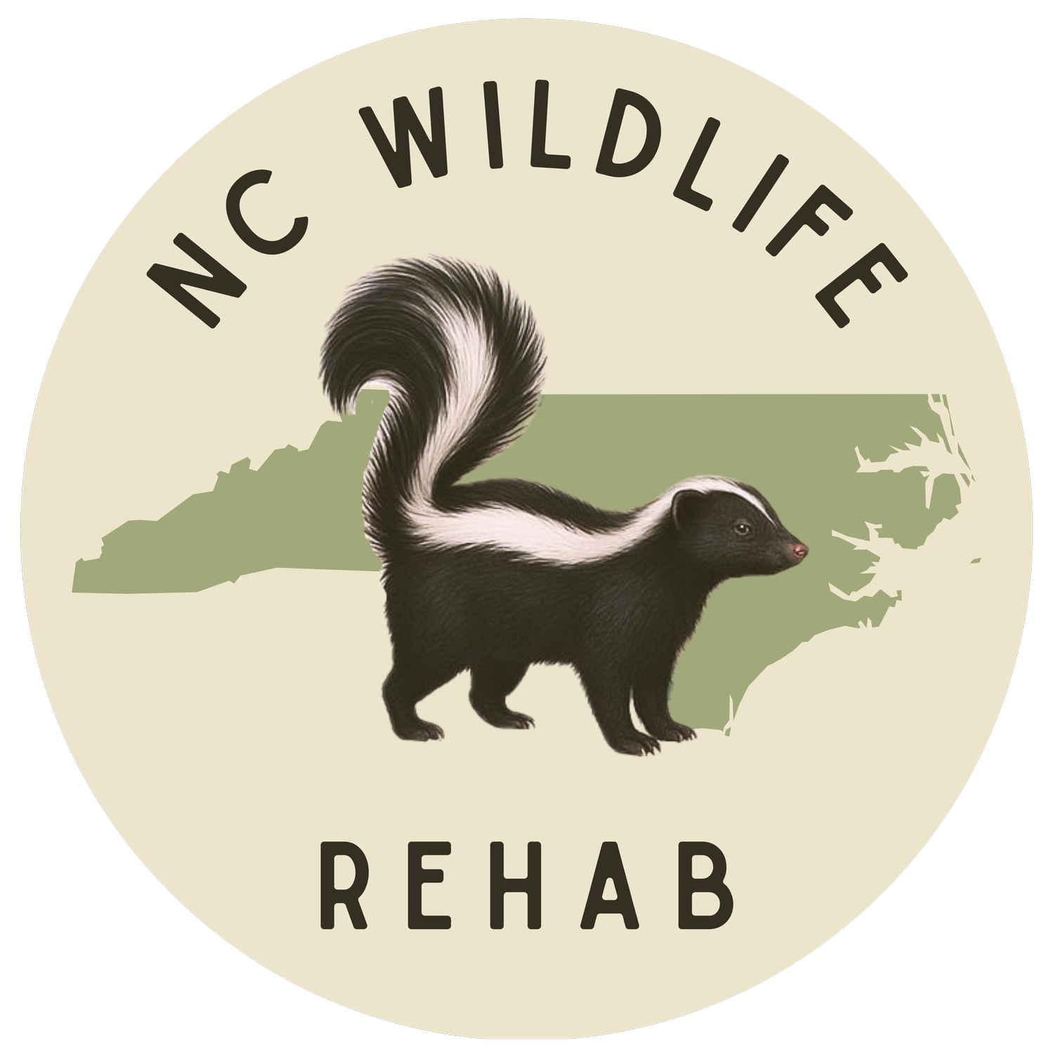 NC Wildlife Rehab