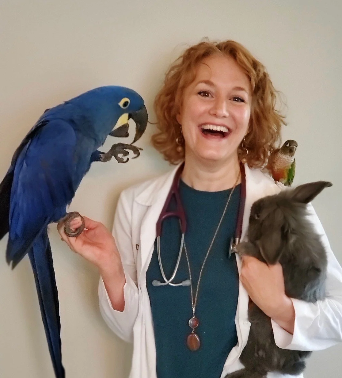 A female veterinarian holding a rabbit in her right arm, with a large blue parrot perched on her left hand and a small bird on her shoulder. She is smiling and wearing a white coat with a stethoscope around her neck.