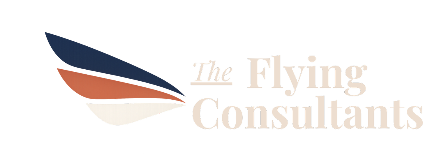 THE FLYING CONSULTANTS
