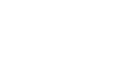 Logo MAES
