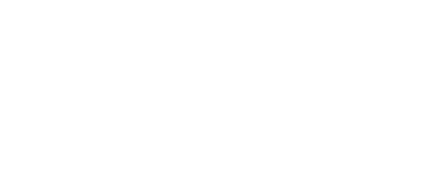 Logo Port of Antwerp-Bruges