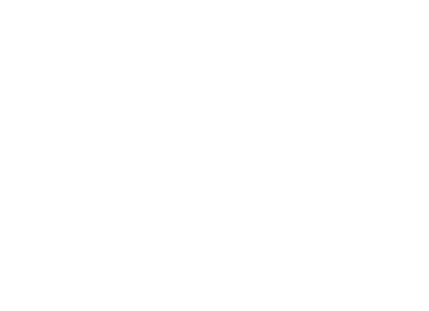Logo Capgemini