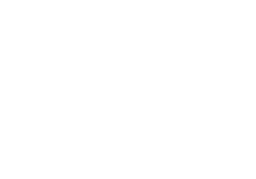 Logo MAES
