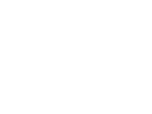 Logo Carrefour