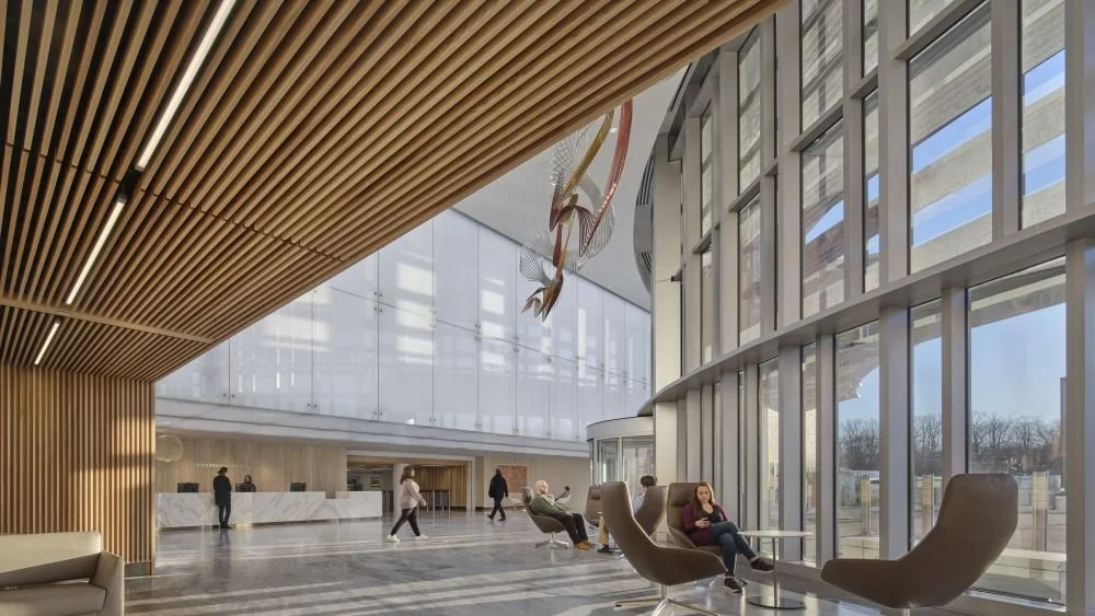 Professional Employment Experience